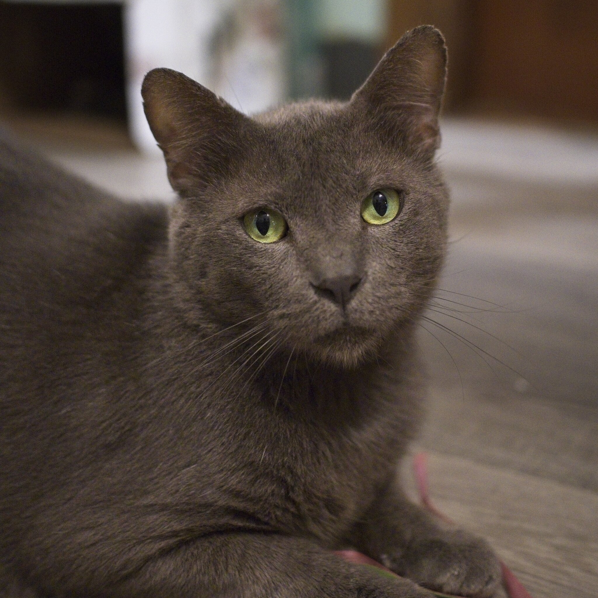 DSC08488 1.jpg