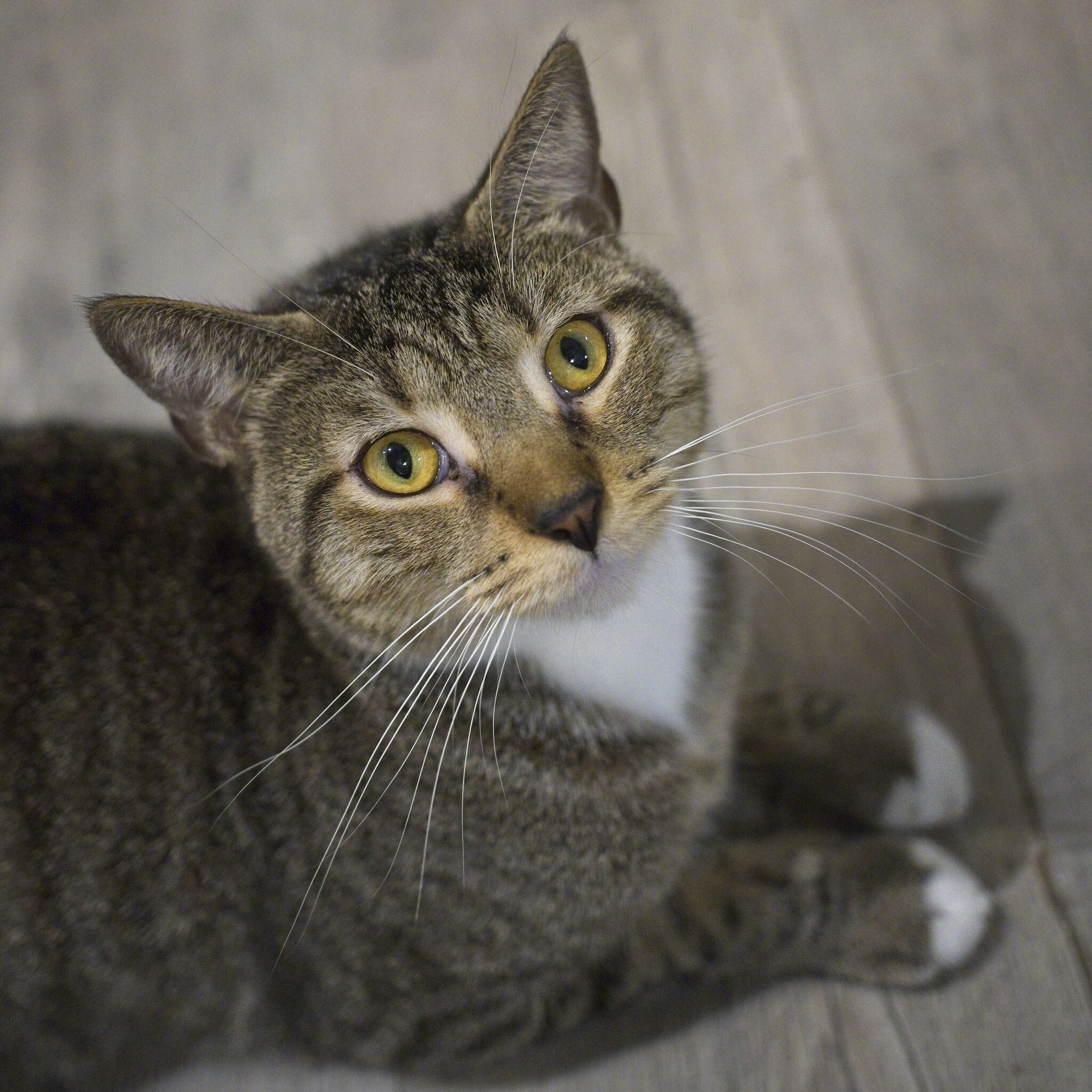 DSC08508 1.jpg