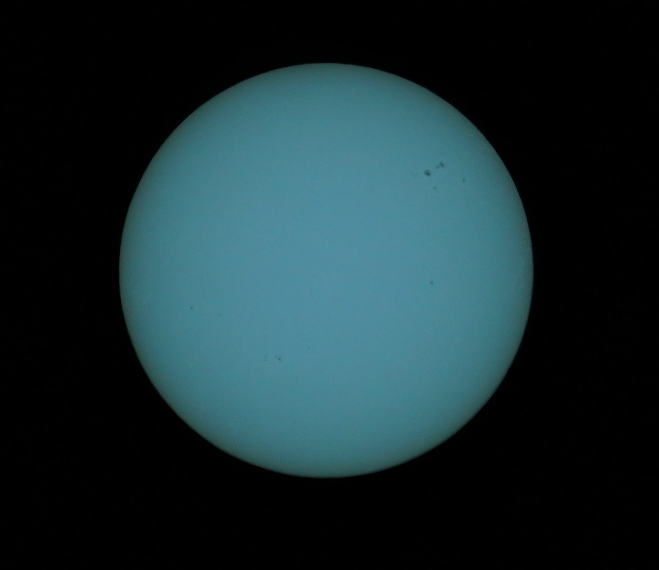 DSC08767_2.JPG