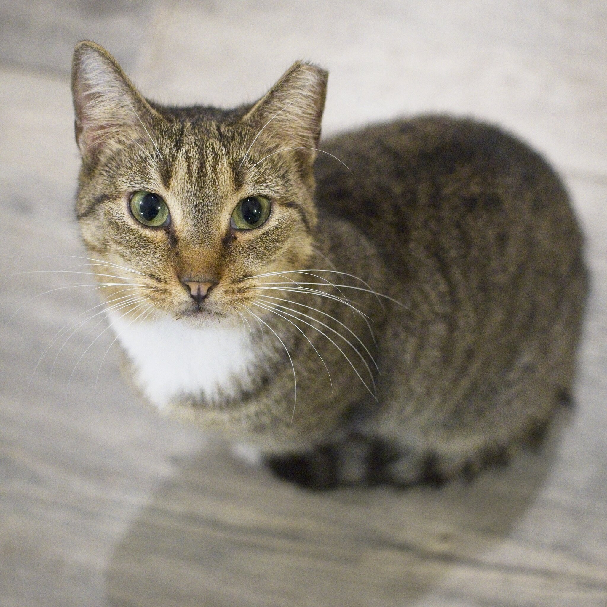 DSC08789 1.jpg