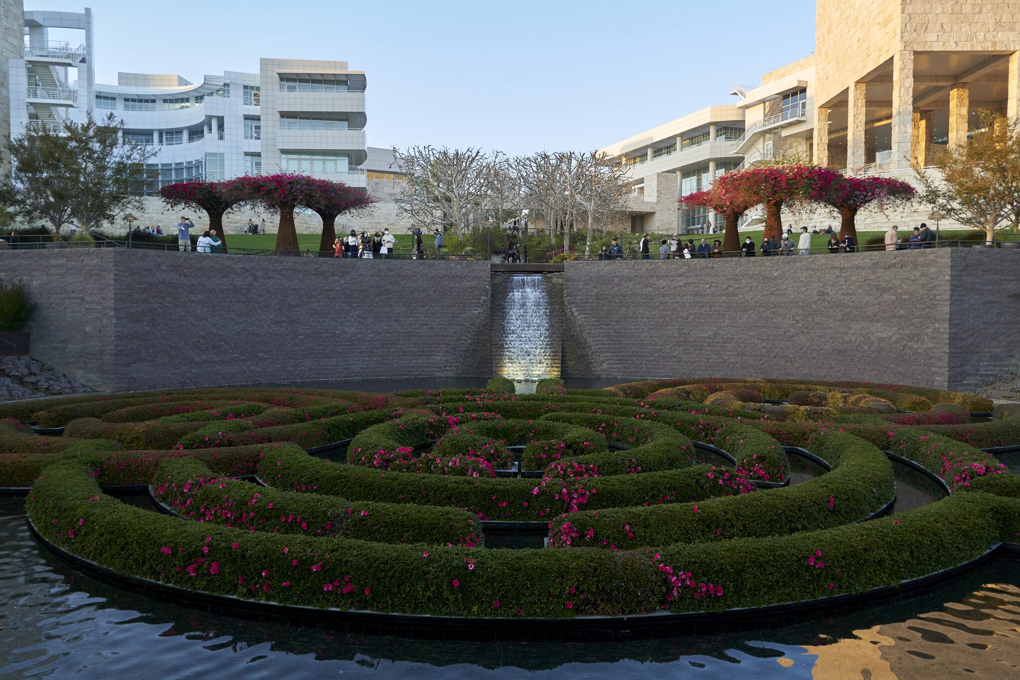 DSC08841.jpg