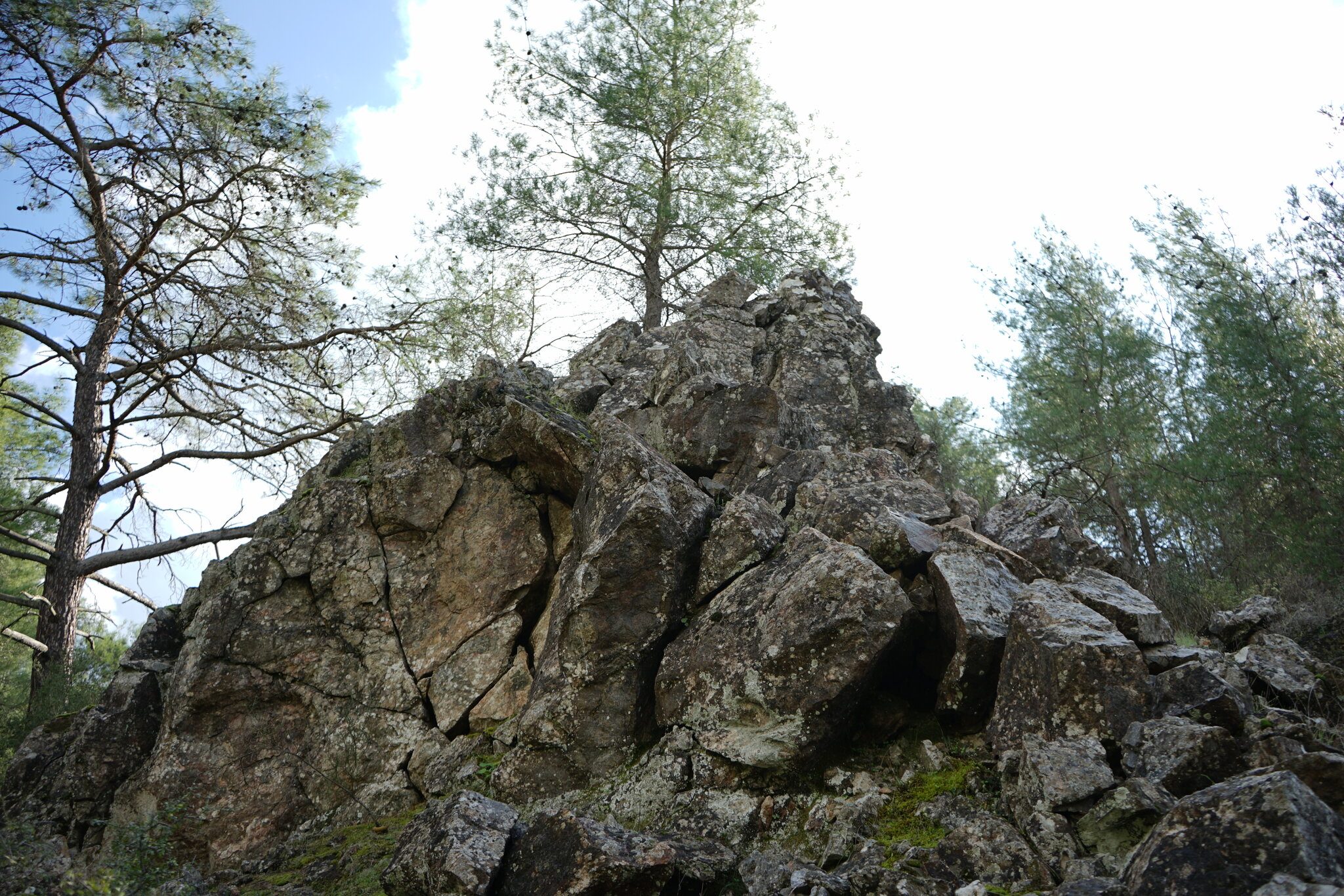 DSC09306.JPG