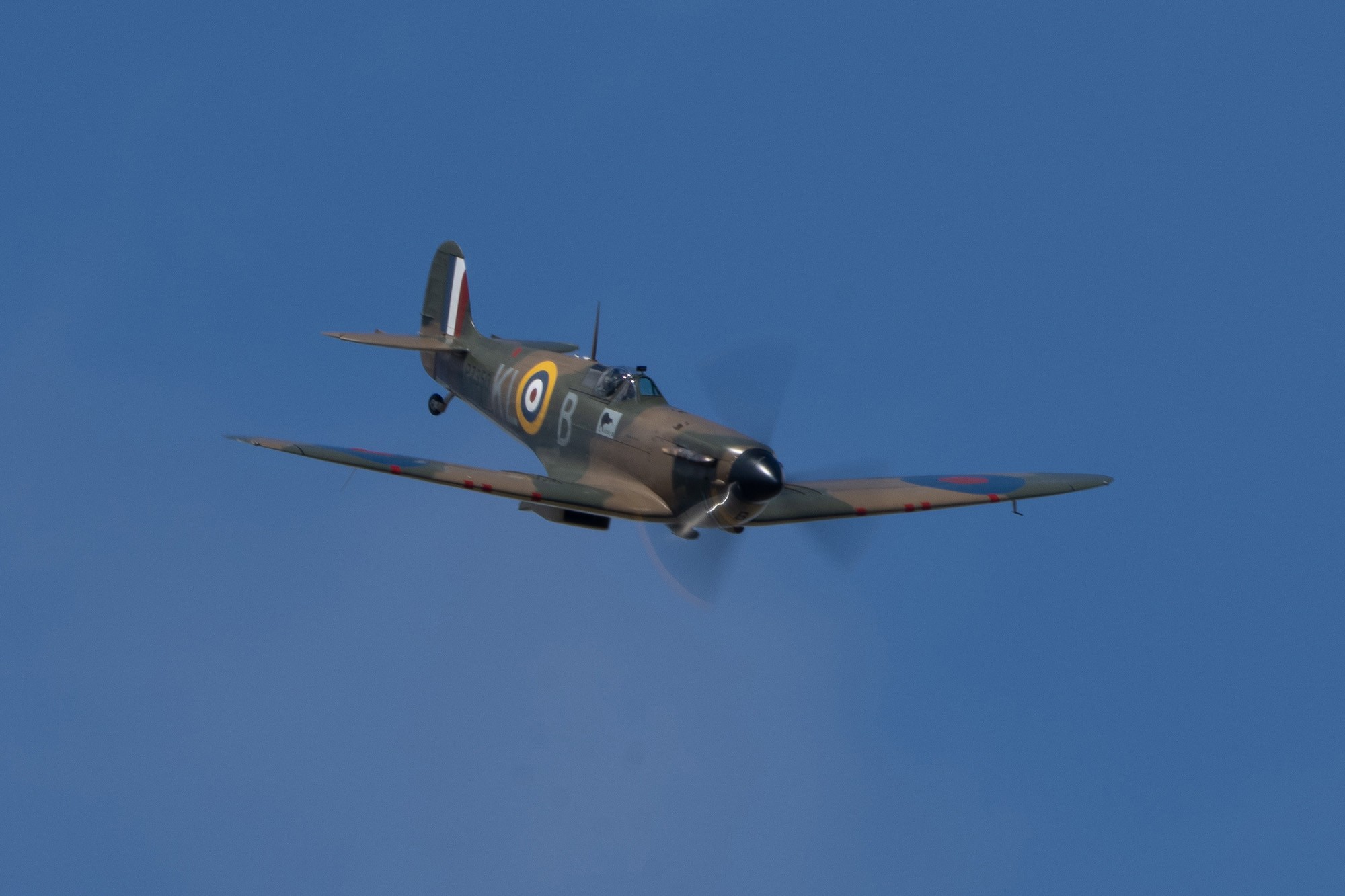 DSC09398.jpg