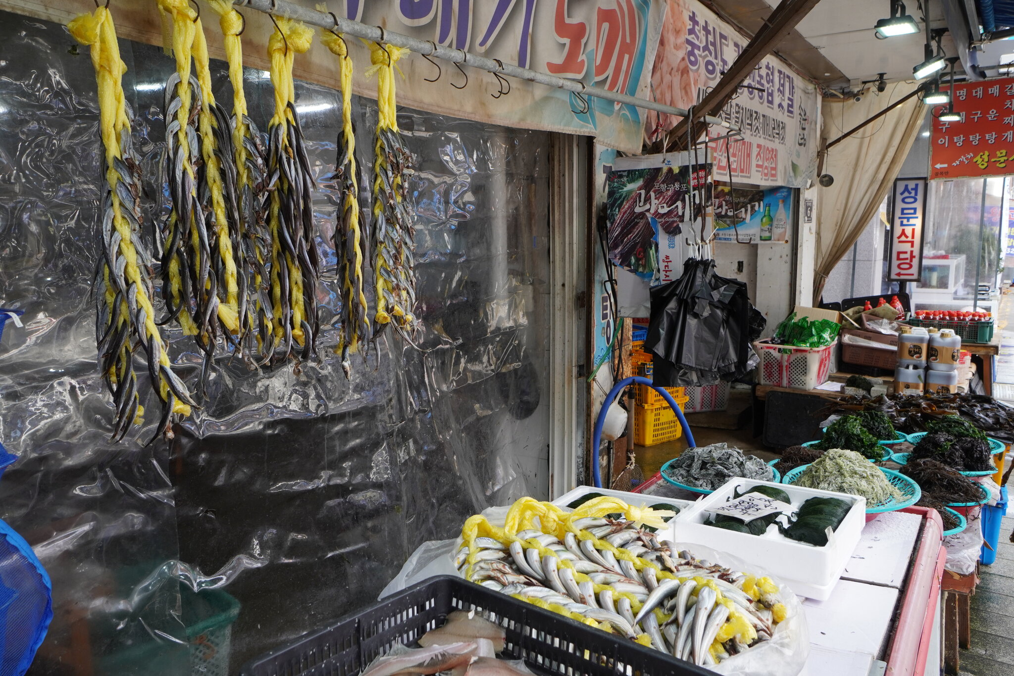 DSC09495.JPG