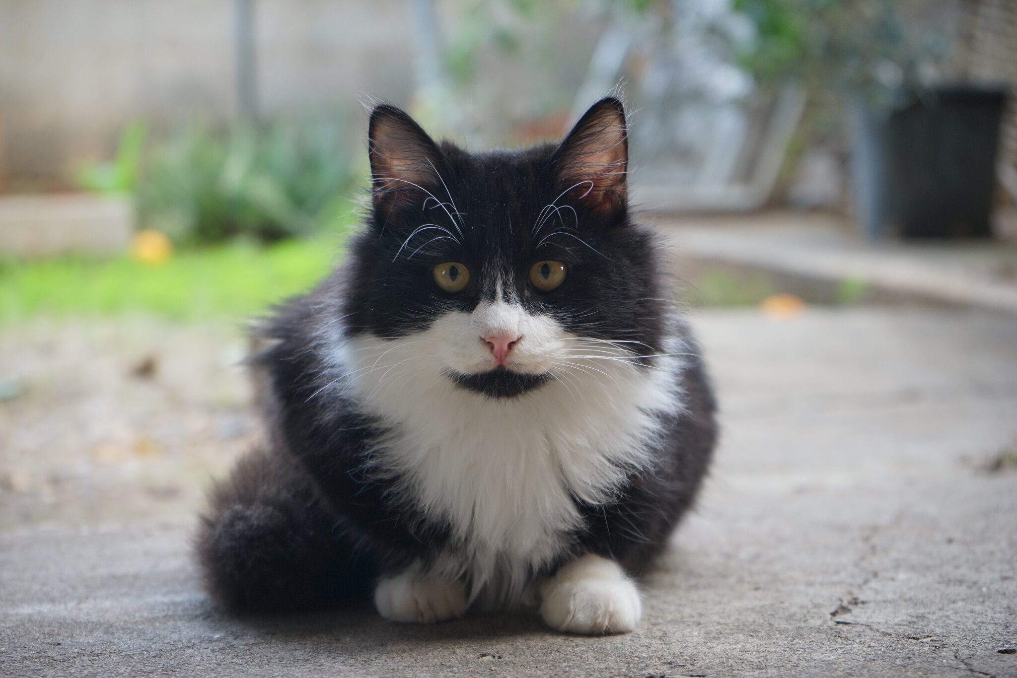 DSC09807.JPG