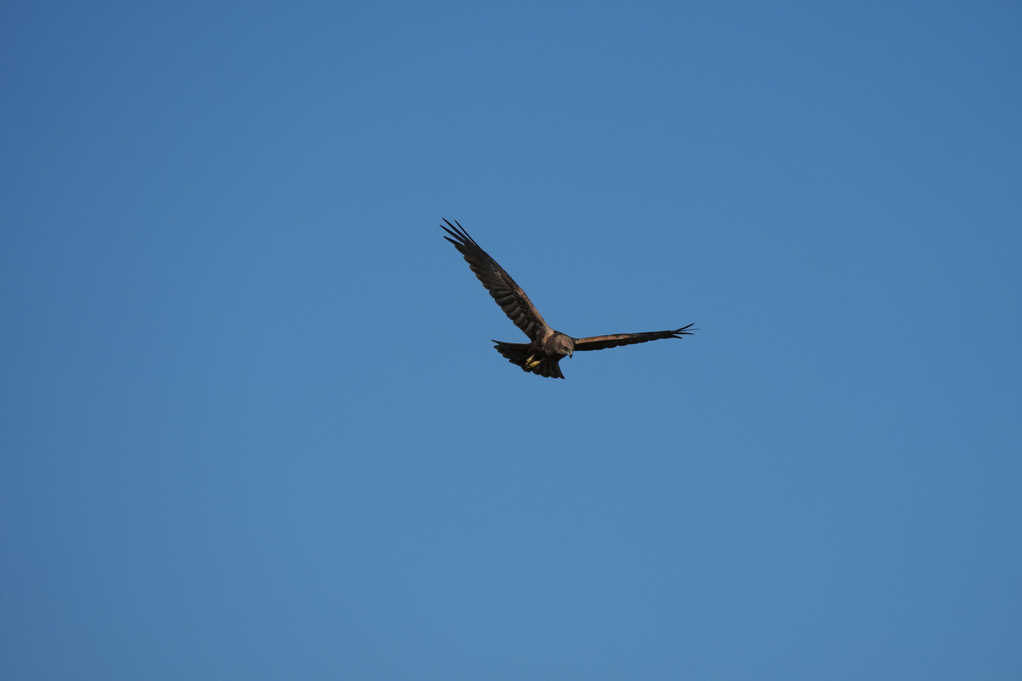 DSC09847.JPG
