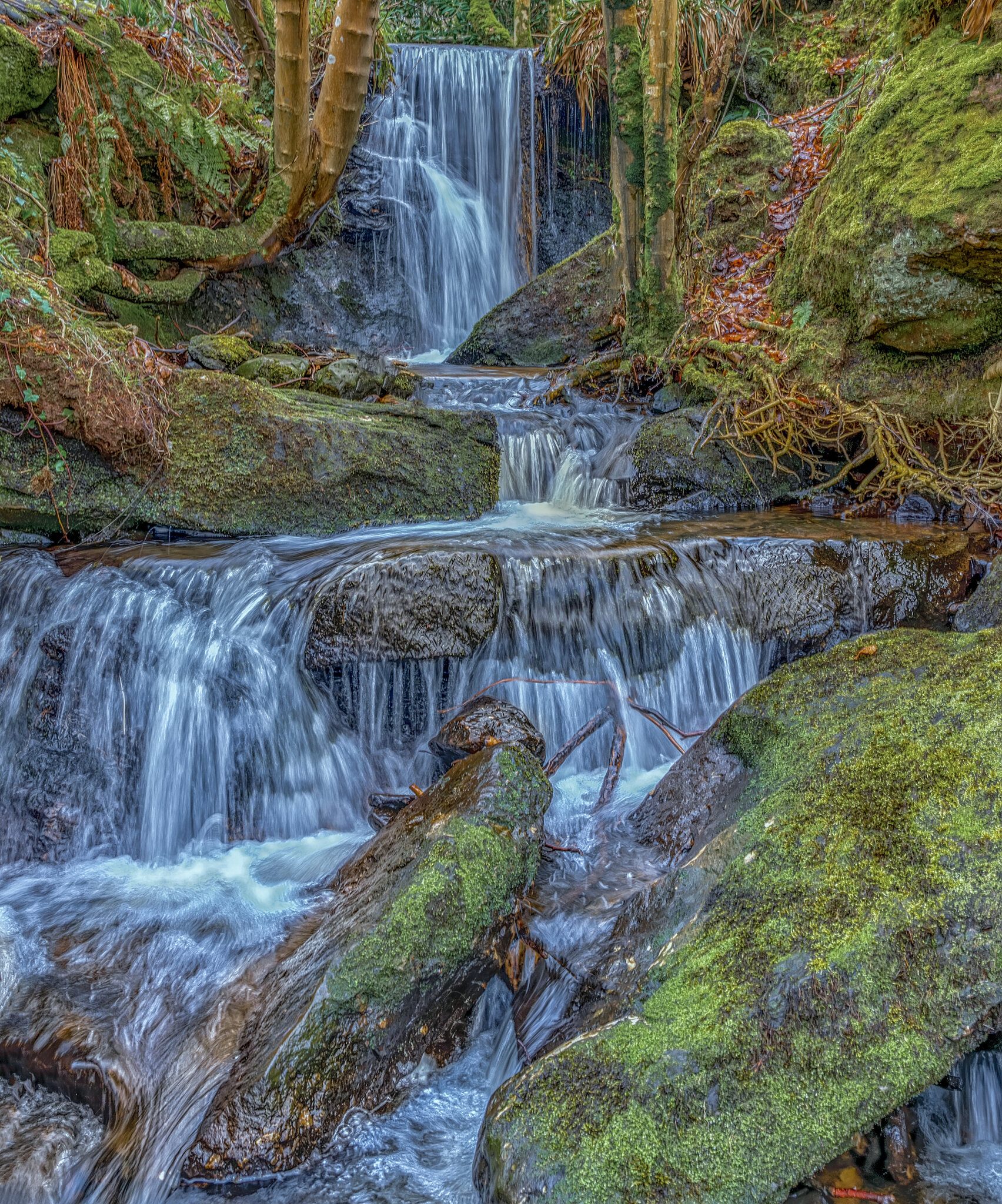 Fairlie Glen Waterfall2.jpg
