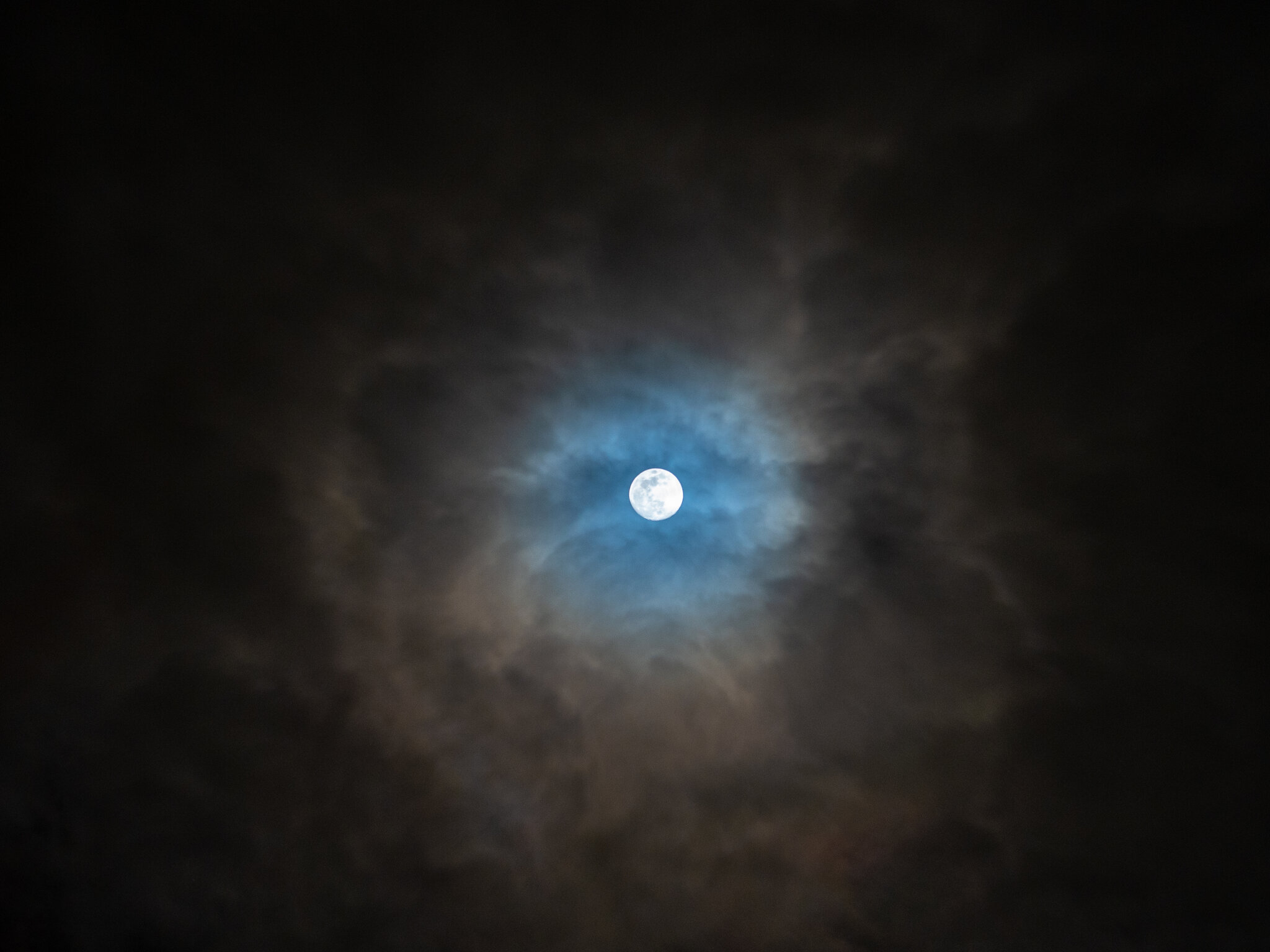 Feb Moon-003.jpg