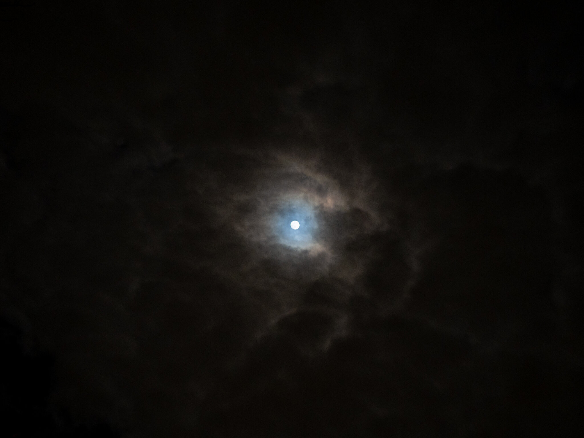 Feb Moon-013.jpg