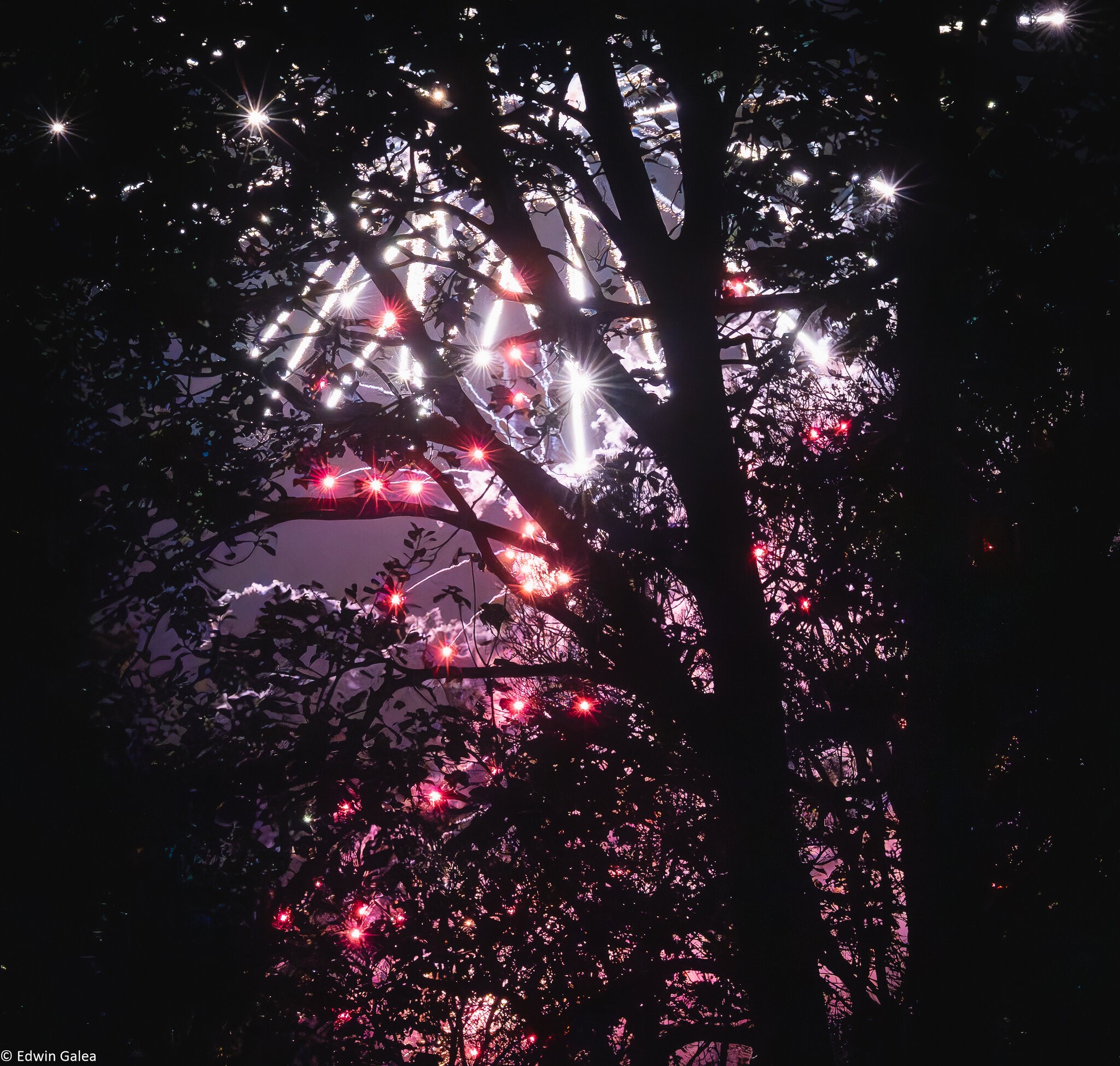 fire works-5.jpg