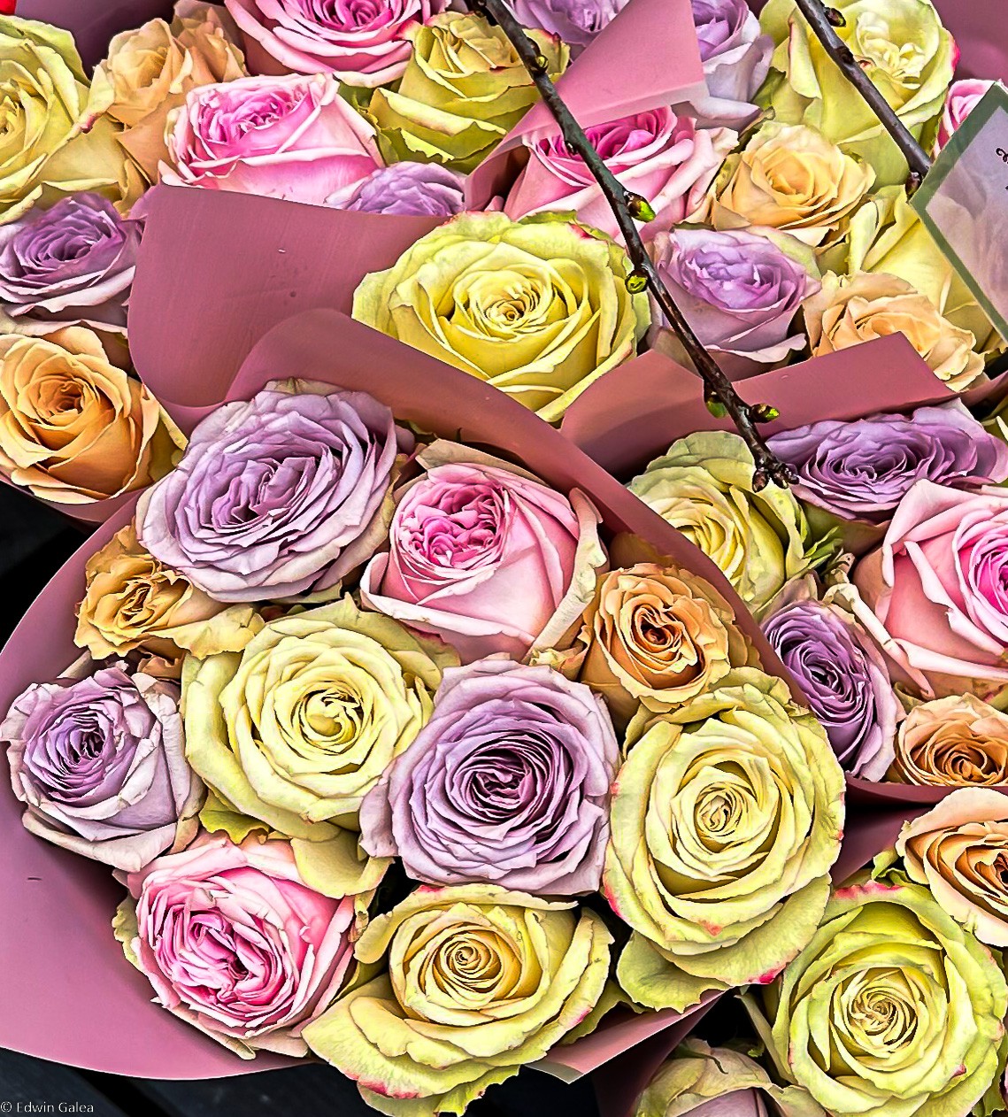 flowers_IP-2.jpg