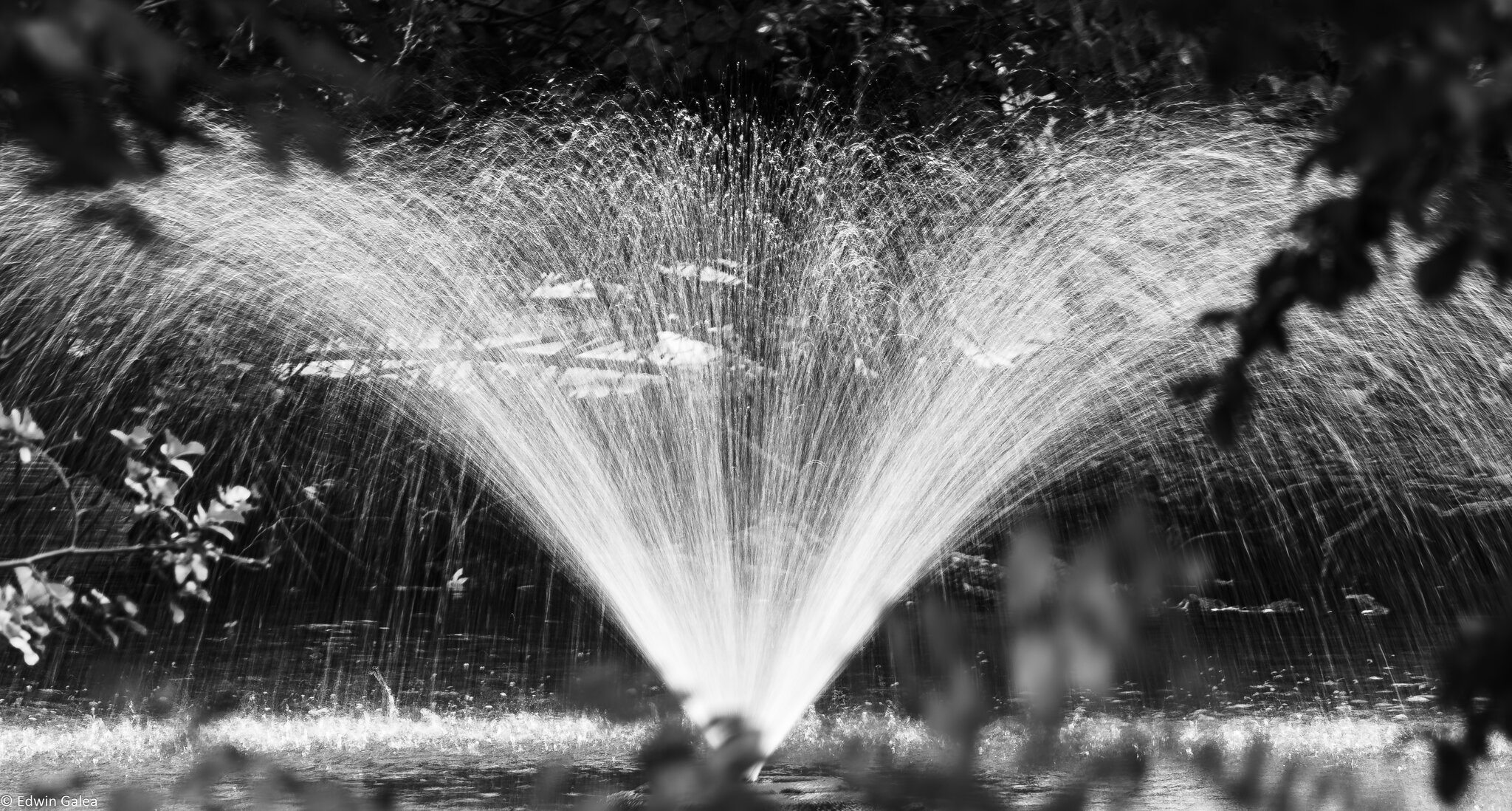 fountain_longexposure_BW_sdr-3.jpg