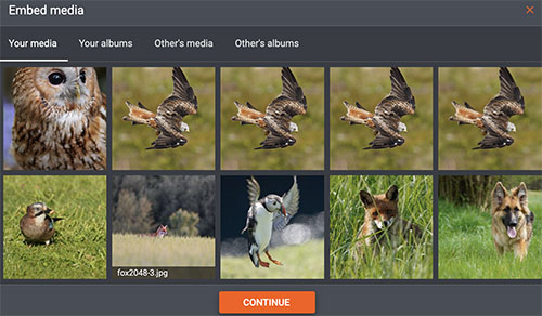 gallery-embed.jpg