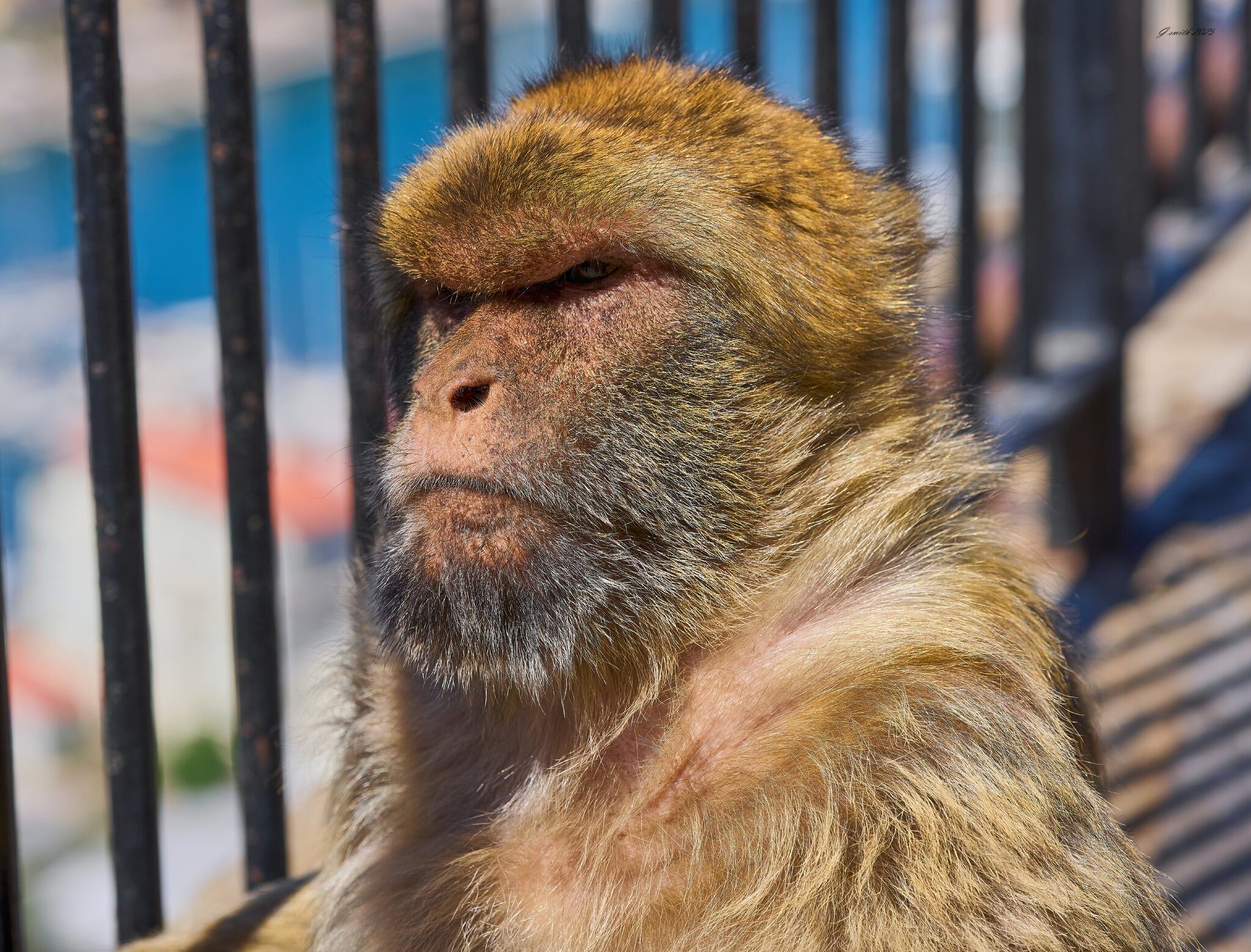gibraltar 2025 _6.jpg