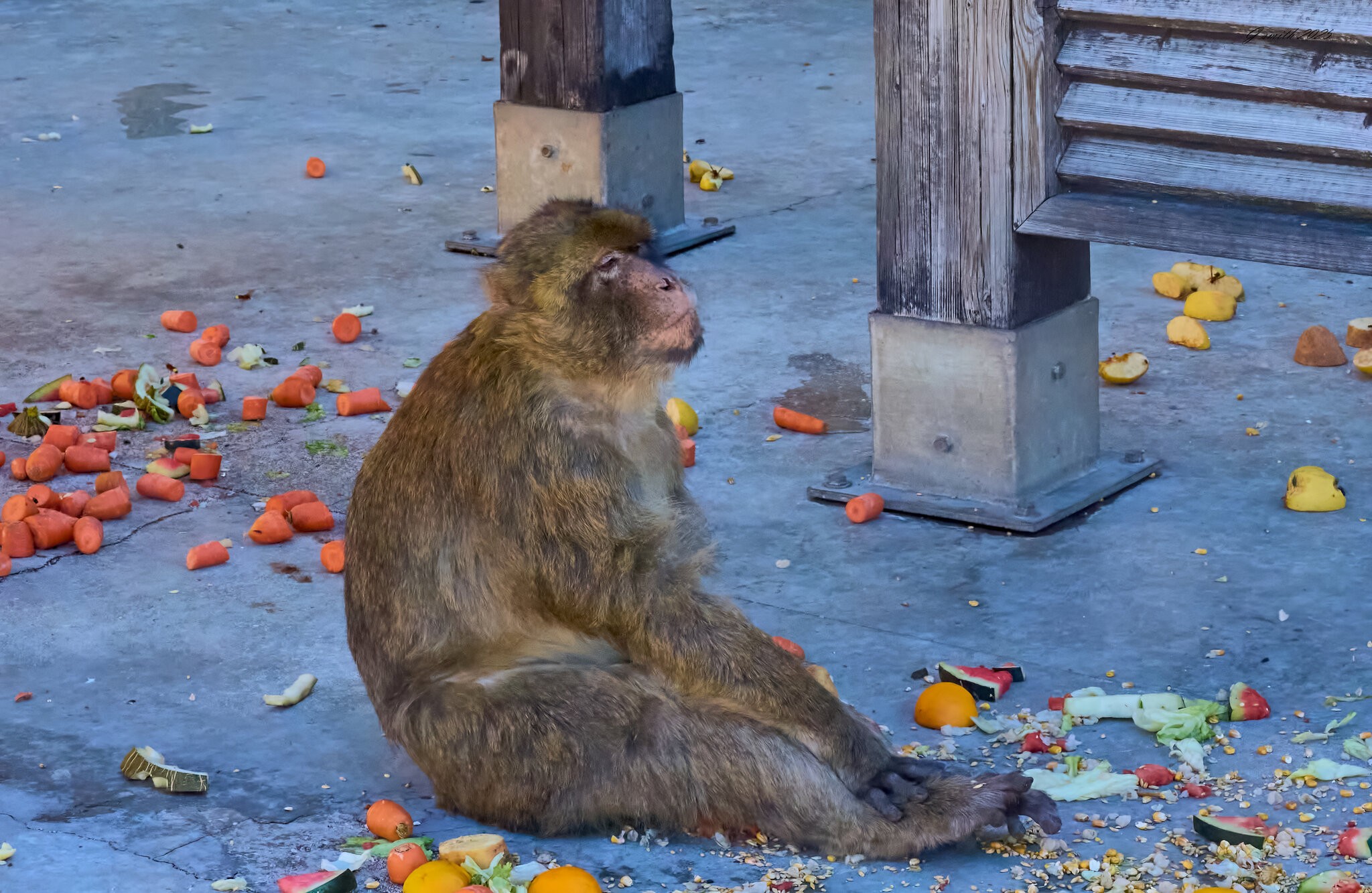 gibraltar 2025 _7.jpg