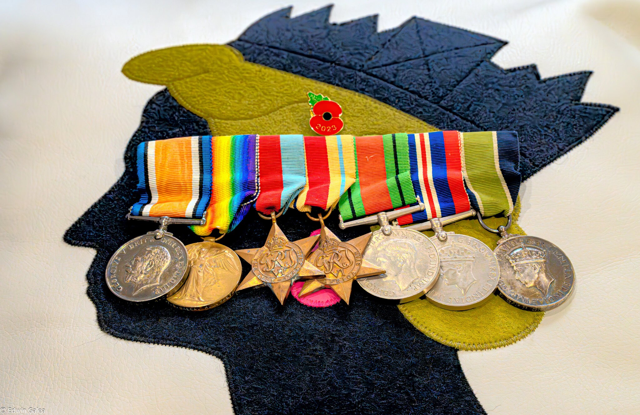granddads_medals_front_pillow_hdr-4.jpg