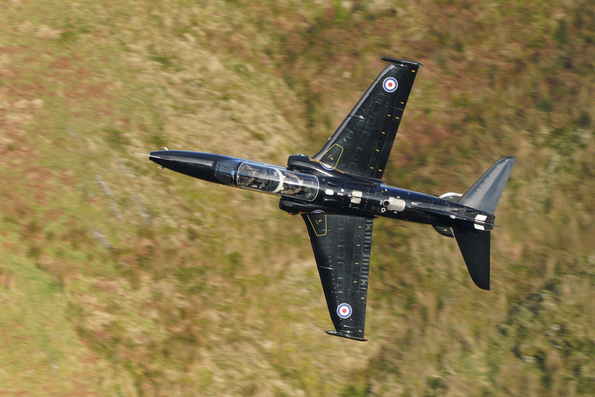 hawkjet.jpg