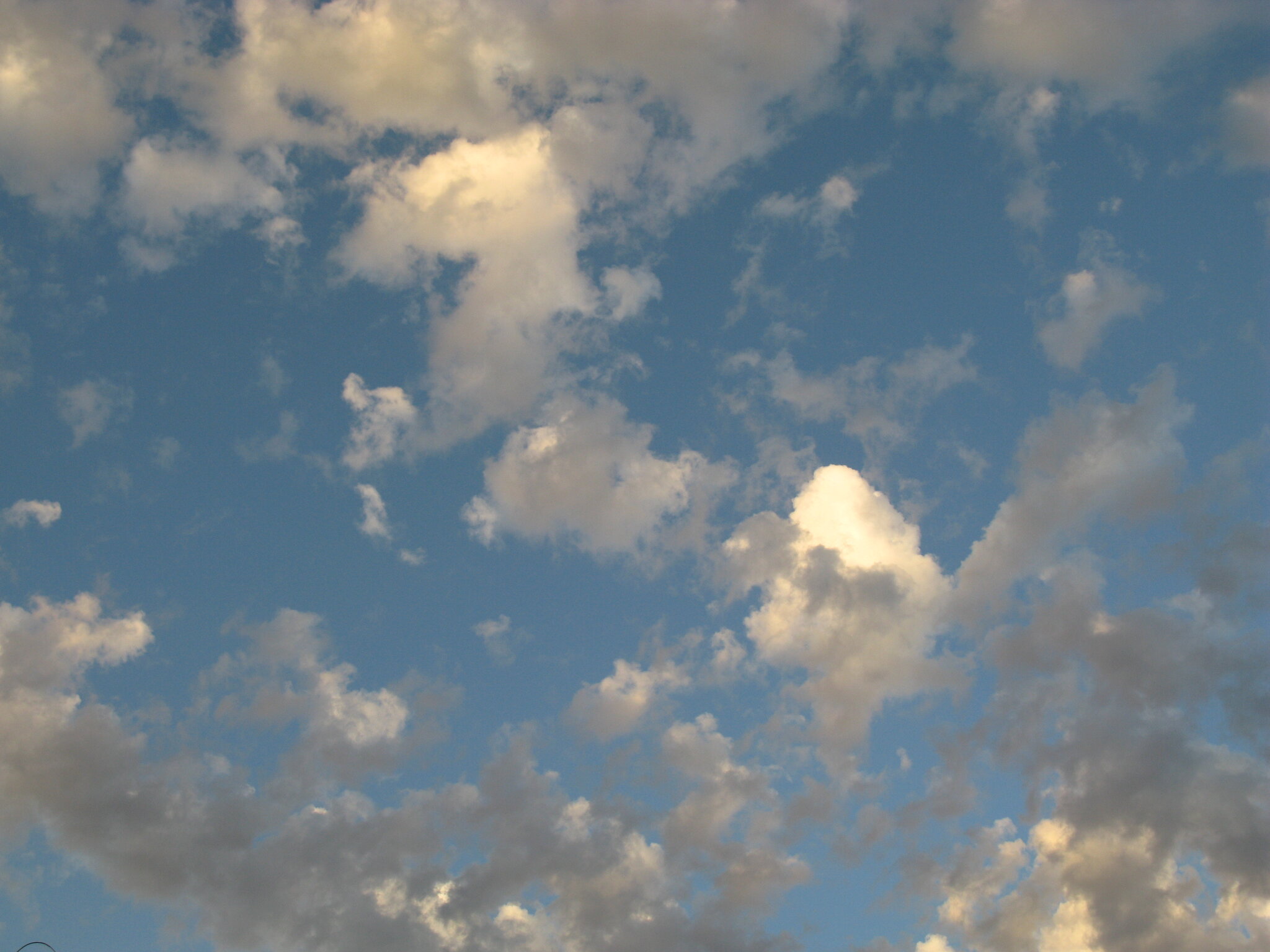 Horse Cloud.JPG