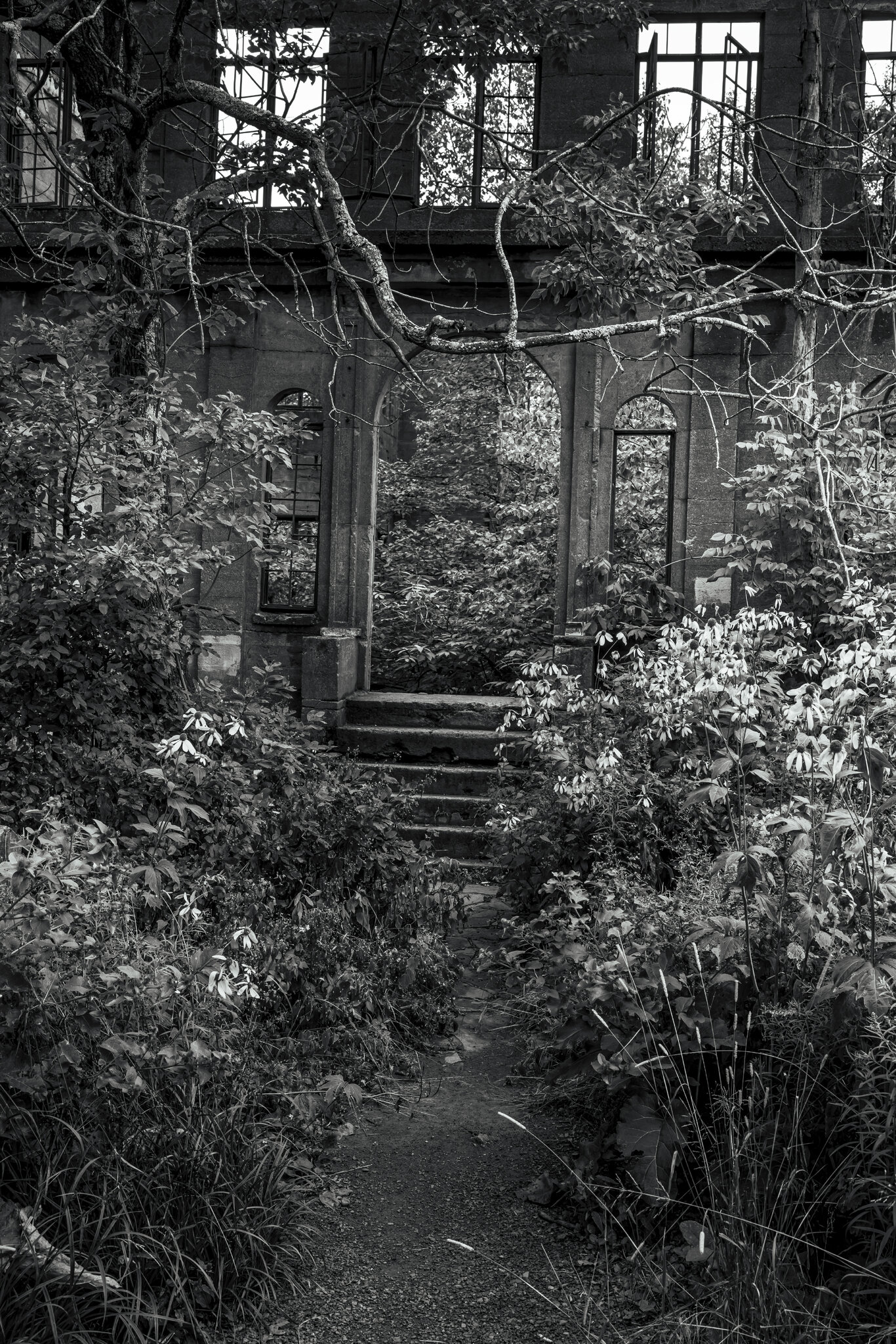 Hotel Door 8 by 12.jpg