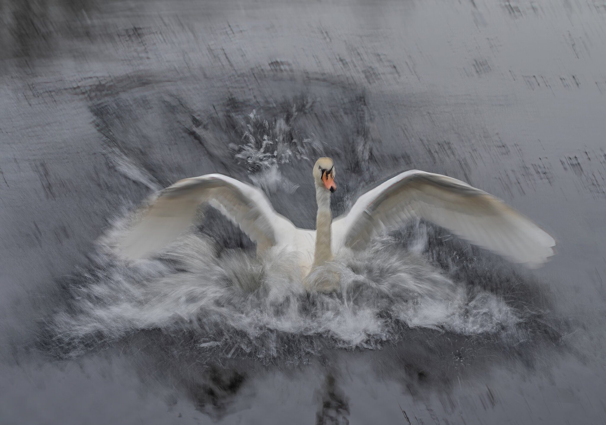 ICM Swan2.jpg
