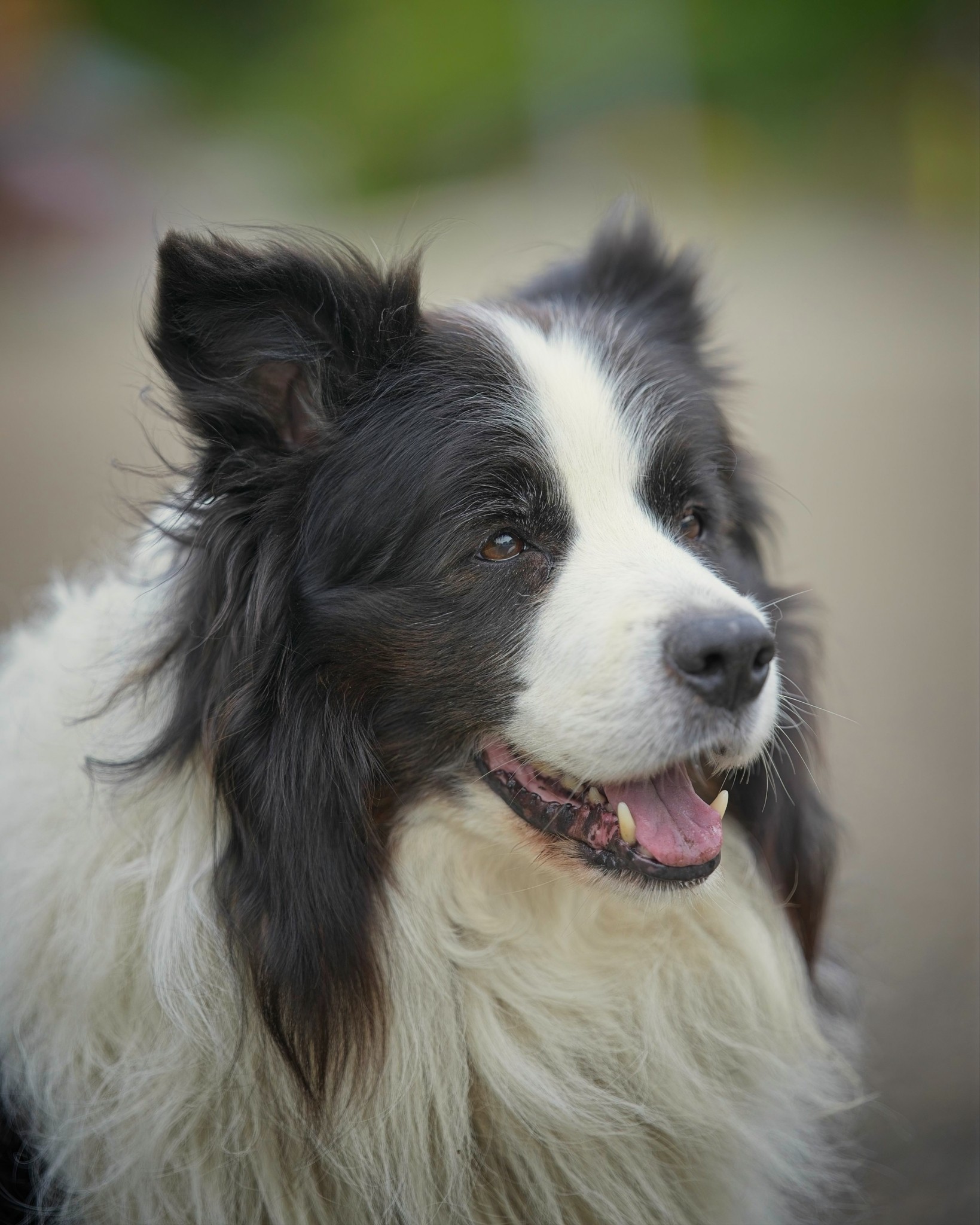 ILCE-1M2FE 50-150mm F2 GM copy3.jpg
