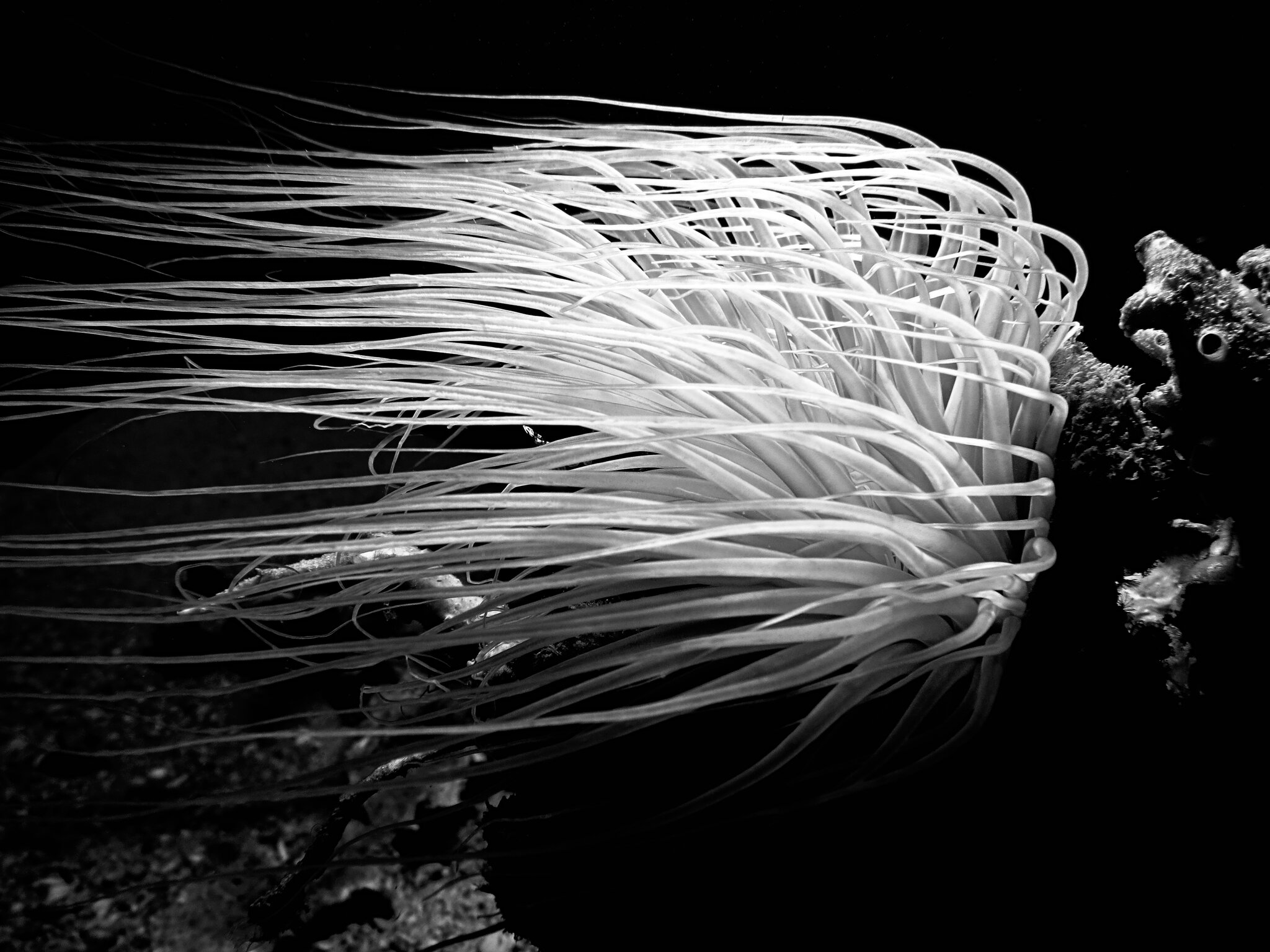 IMG_3793Phil Mono 7.jpg
