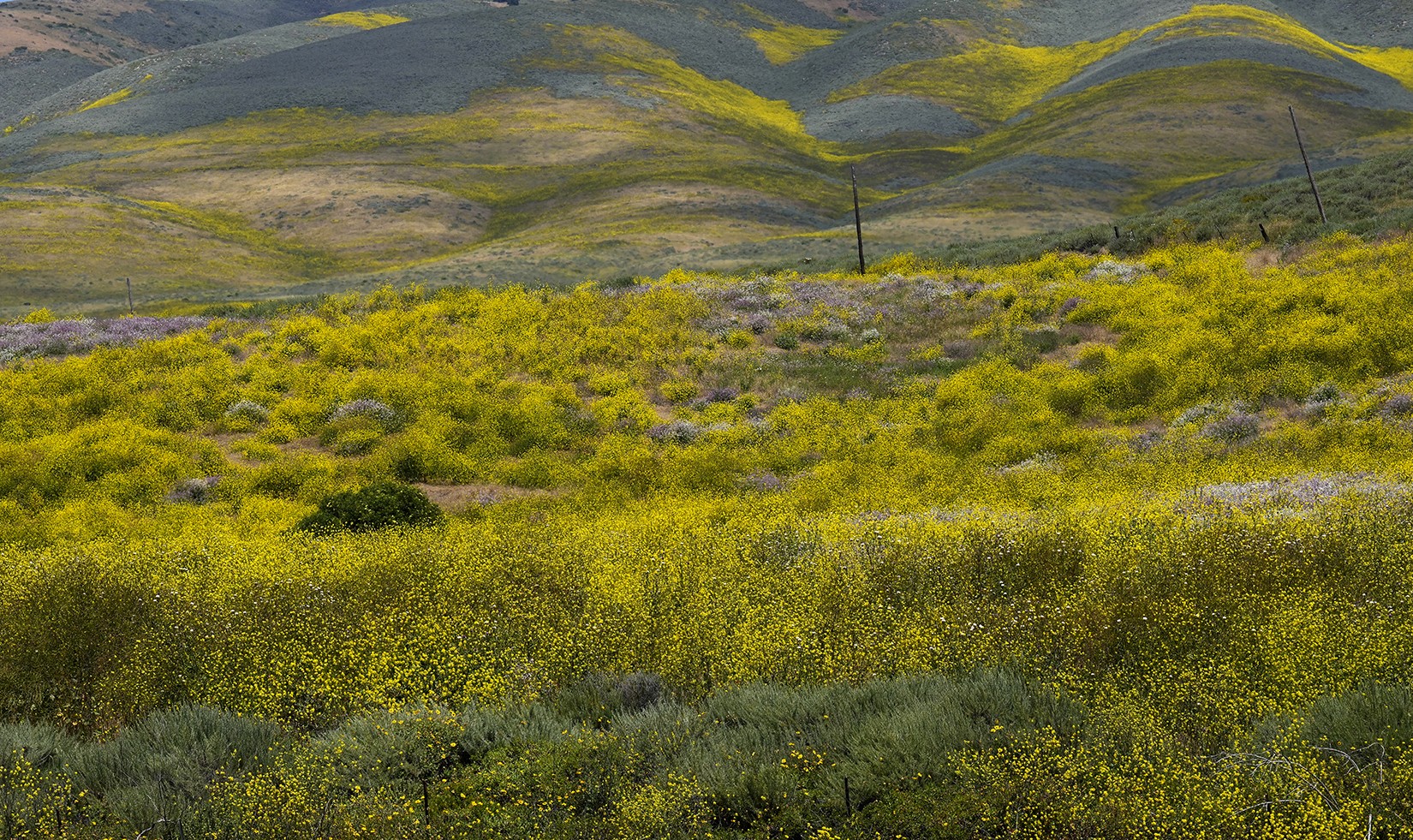 Jalama 5:24 .jpg