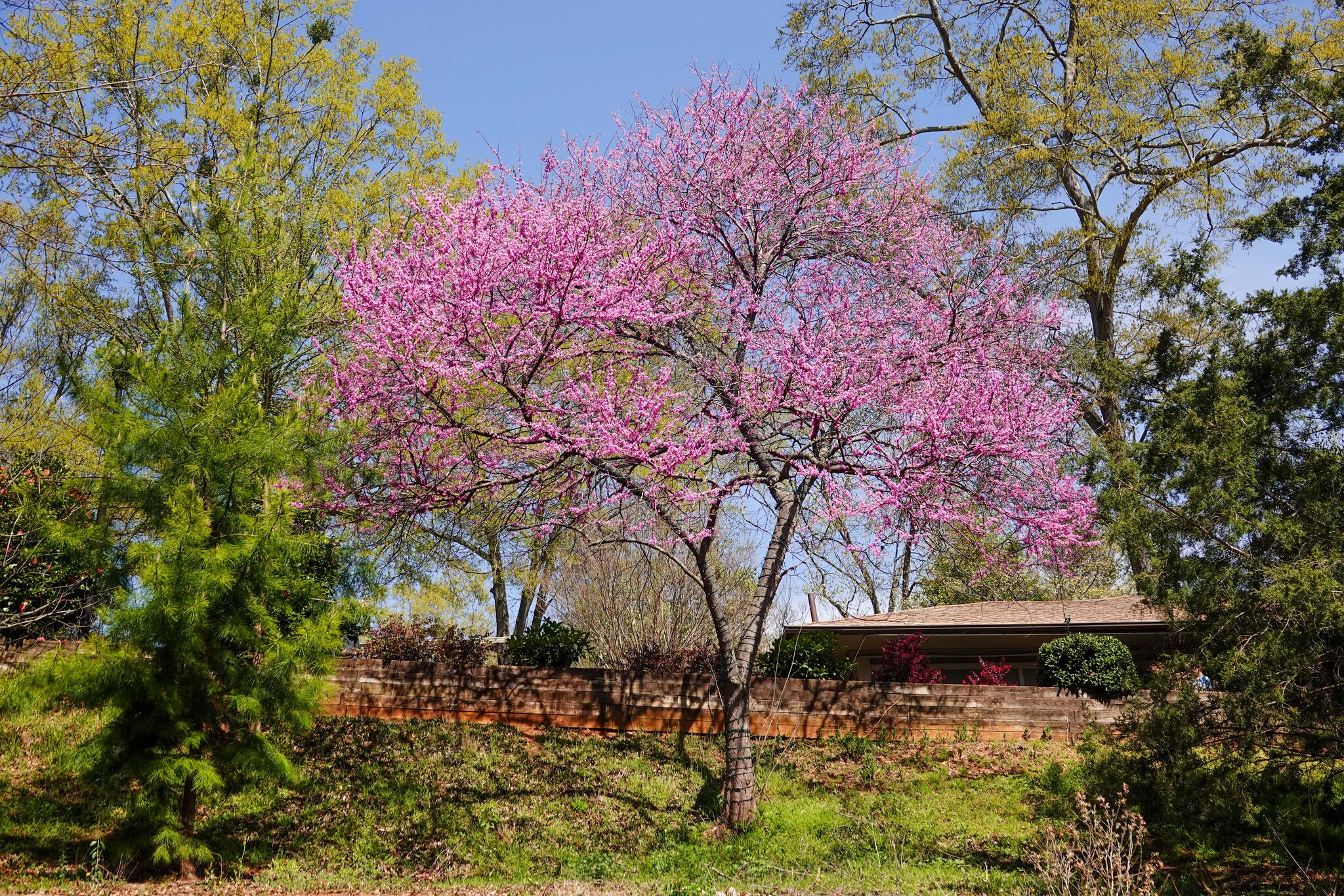 JRV00934.jpg