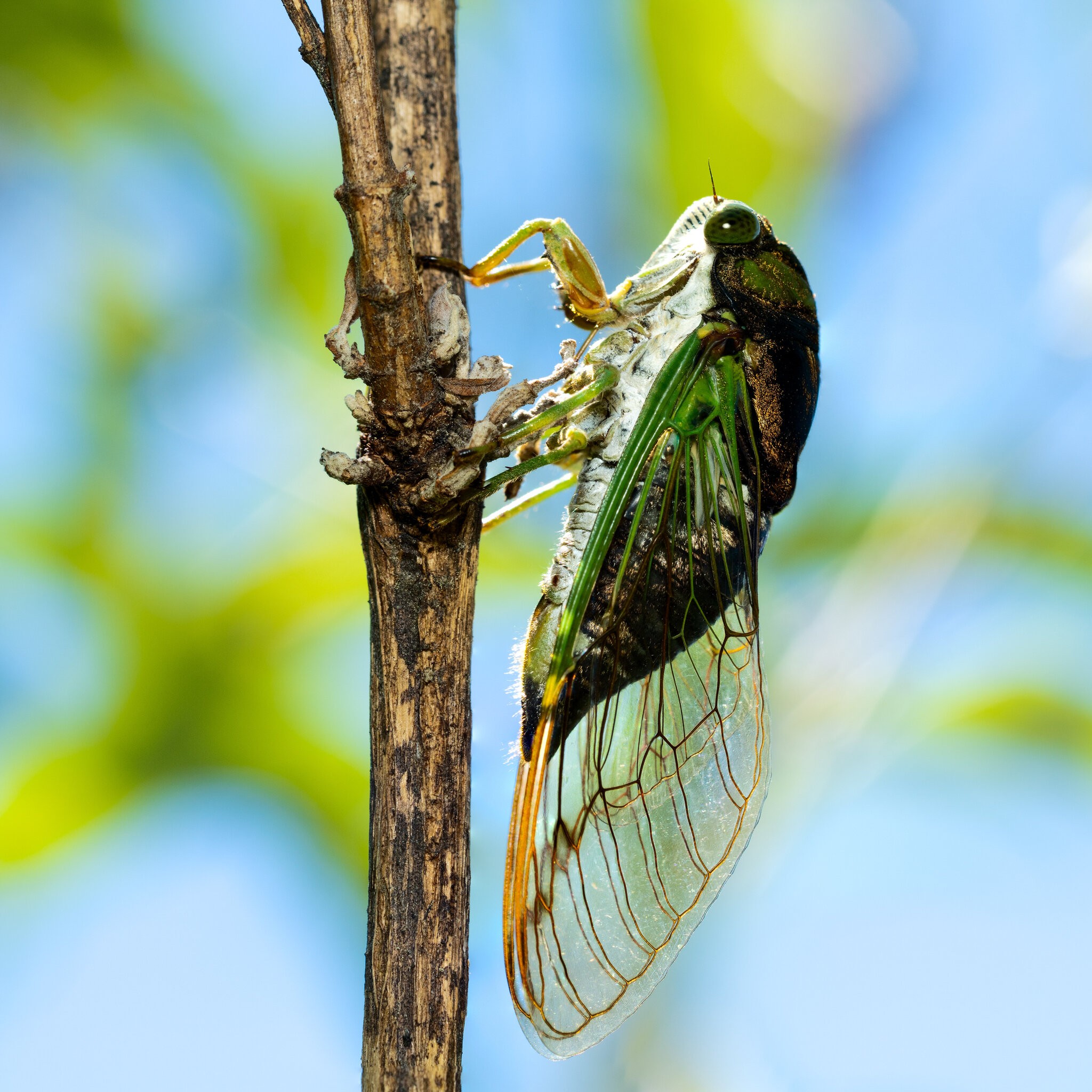 JRV02496-Edit.jpg