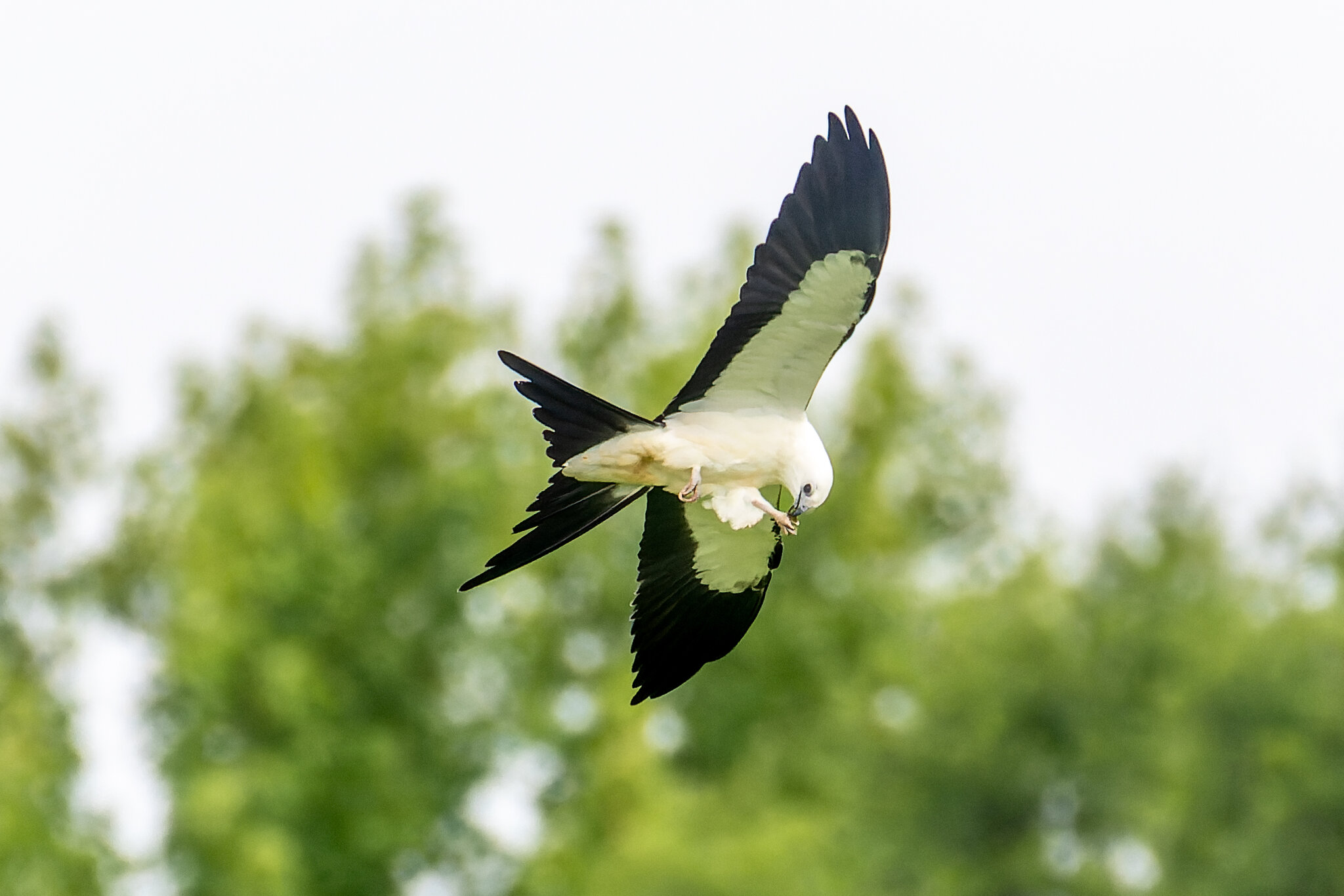 JRV08867-ARW.jpg