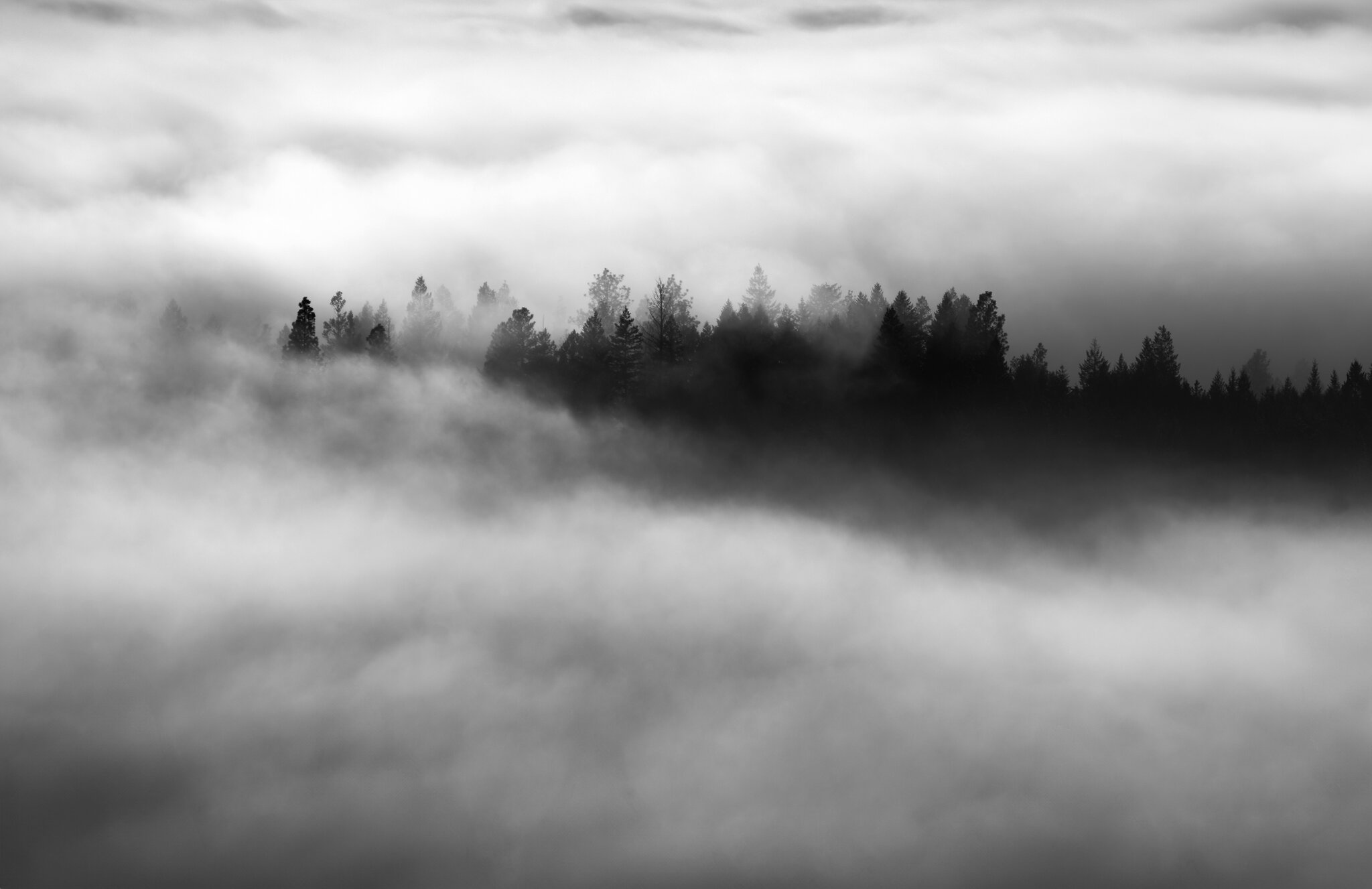Kila Valley Fog.jpg