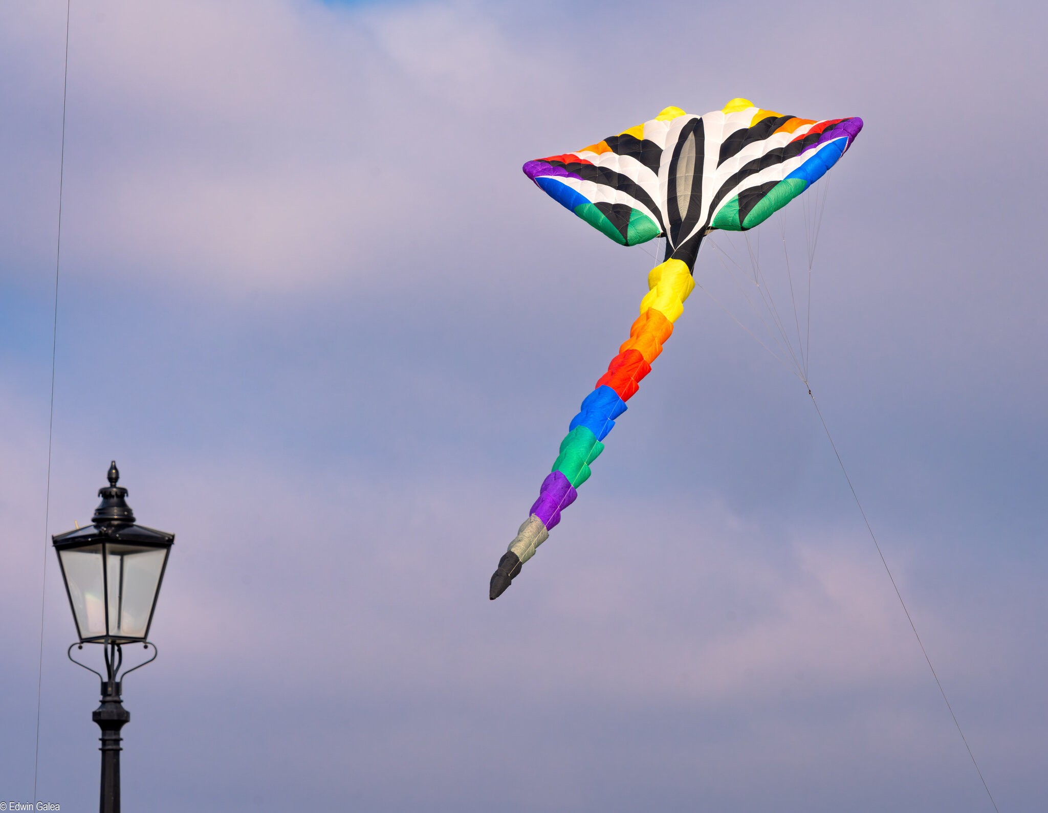 kite-1.jpg