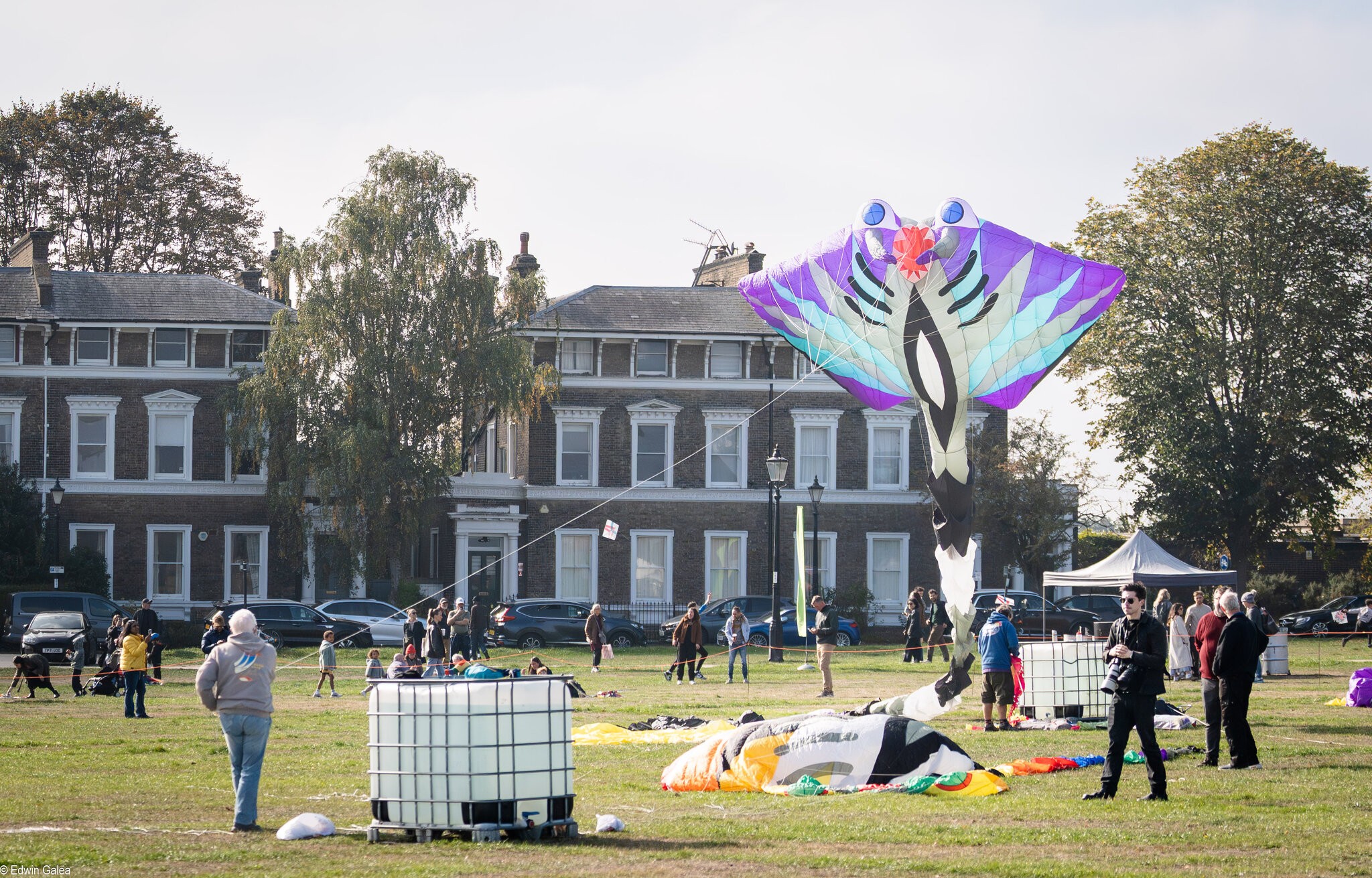 kite-2.jpg
