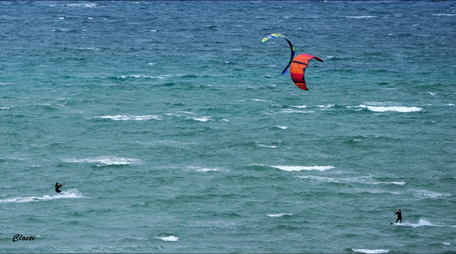 Kites 1 r.jpg