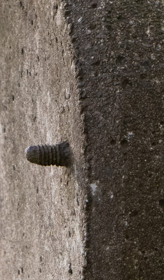 KL100638_100_crop.jpg