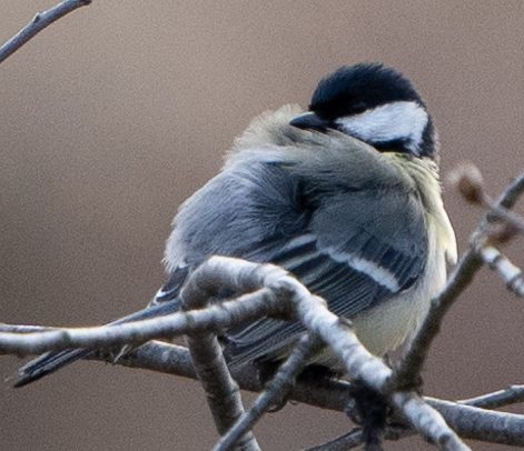 KL101025_100_Crop.jpg