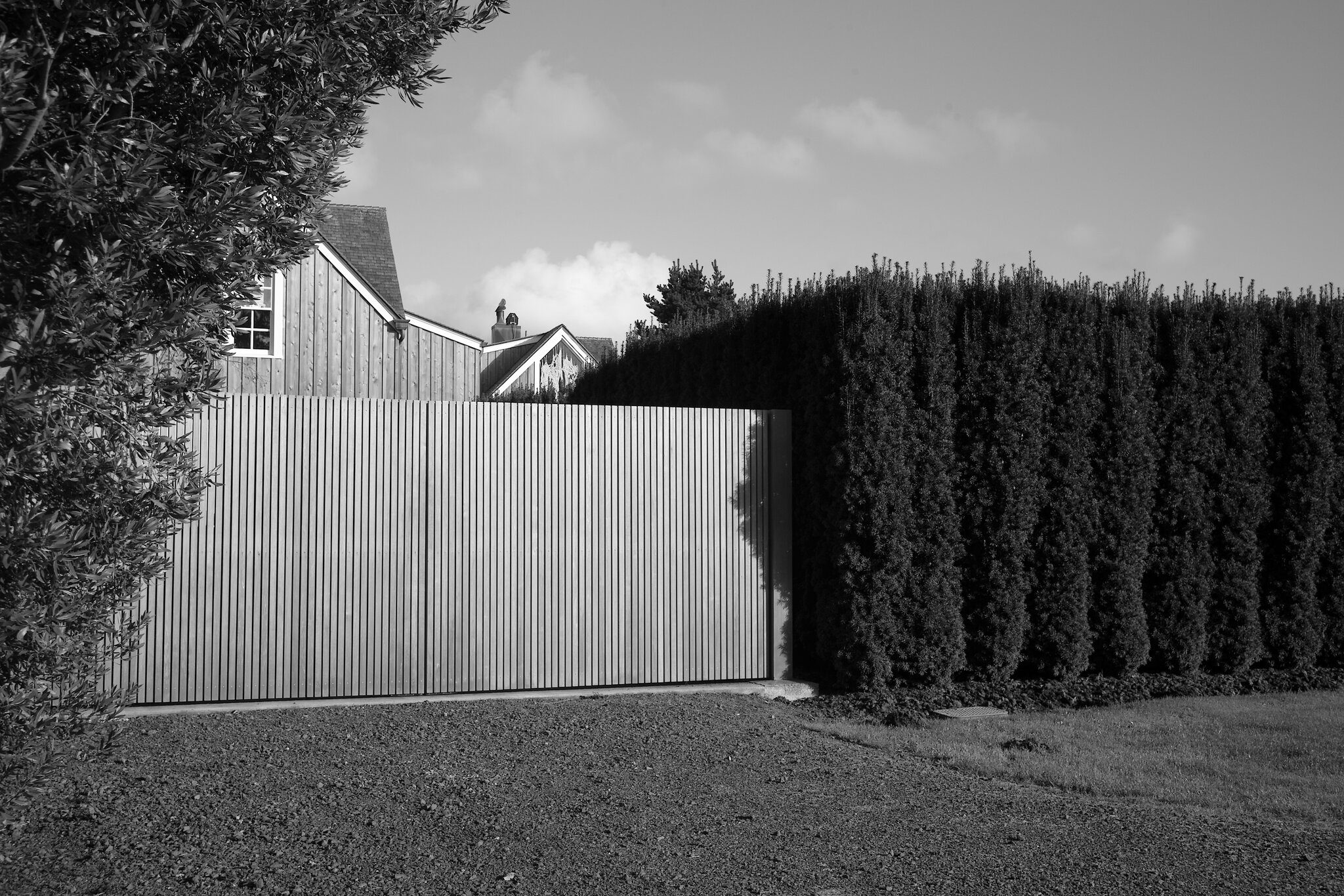 L5010368.JPG