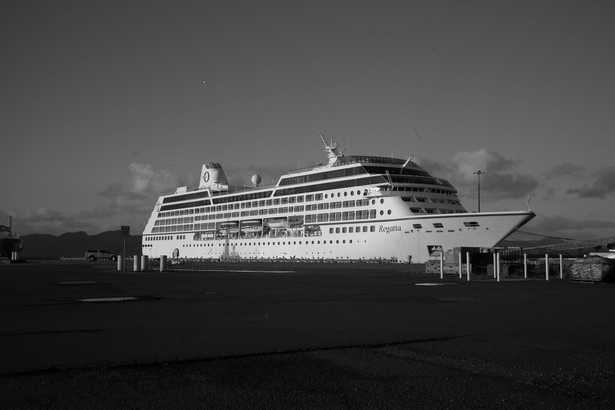 L5010390.JPG