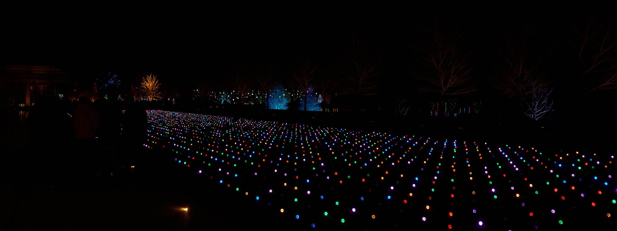 Lights - Longwood - 12032025 - 03.jpg