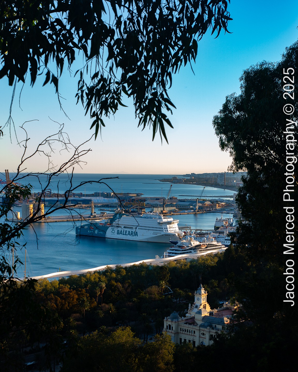 Malaga2025-1-2.jpg