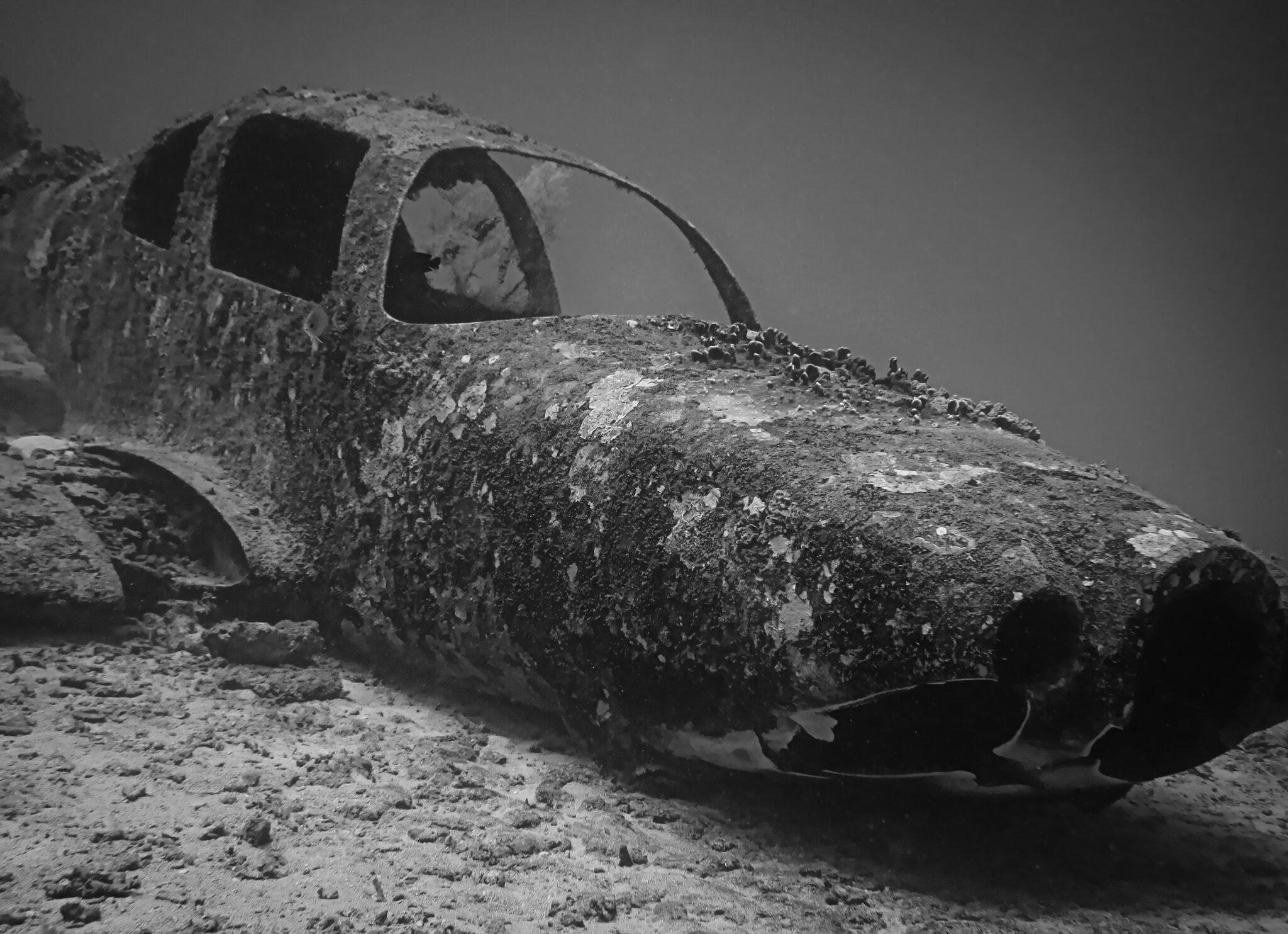 Moalboal 2 Philippines 2015Phil Mono 2.jpg