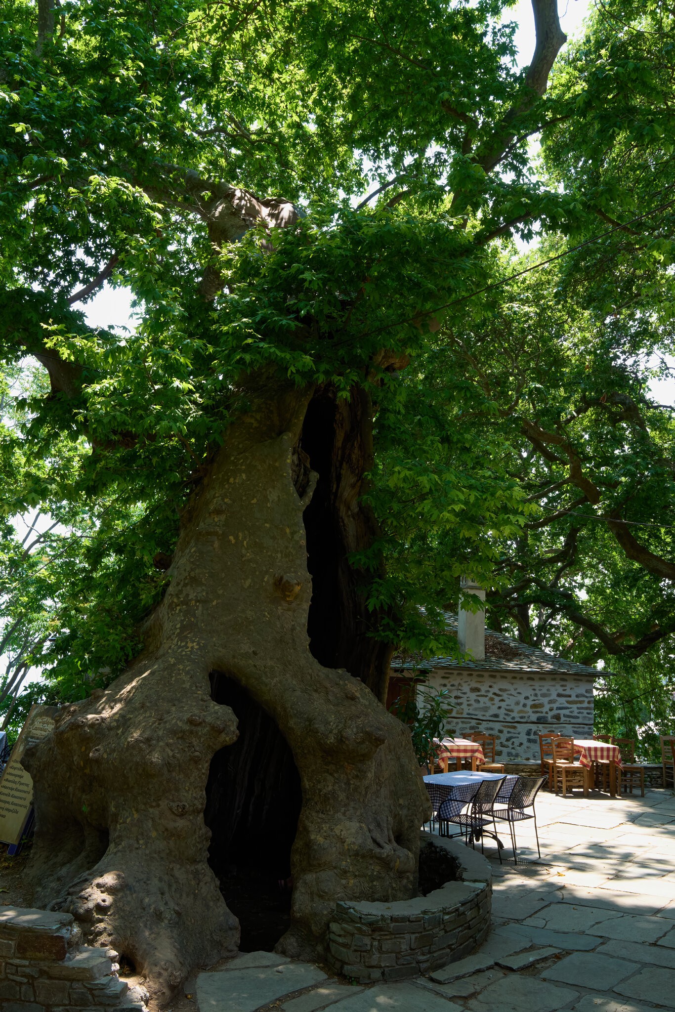 mt pelion crete 2025-8.jpg