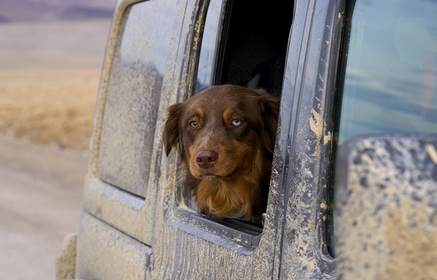 Osa in the Jeep.jpg