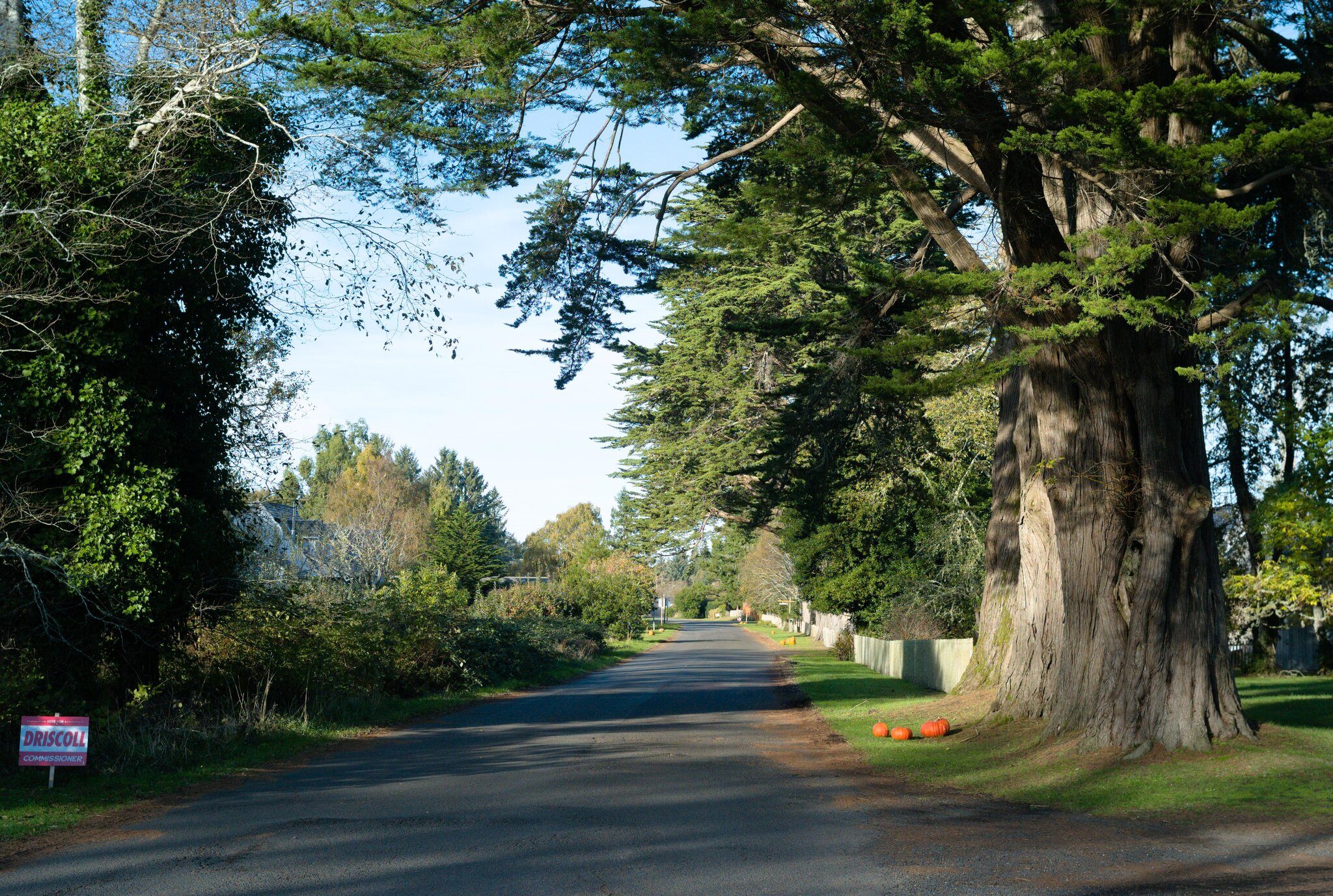 Oysterville 82-01.jpg