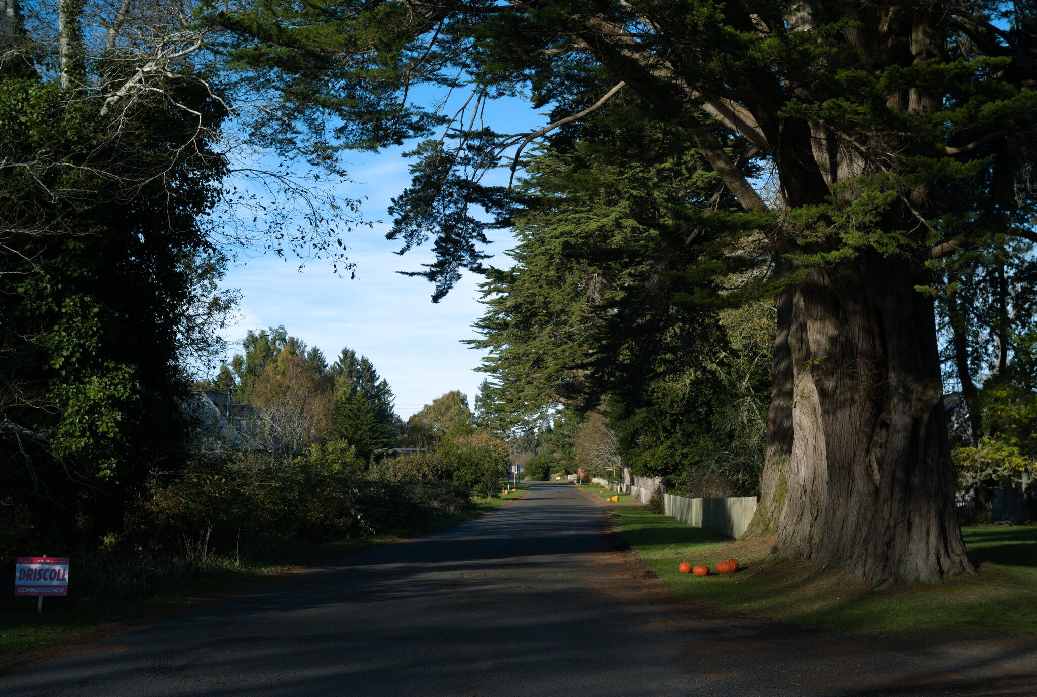 Oysterville.jpg