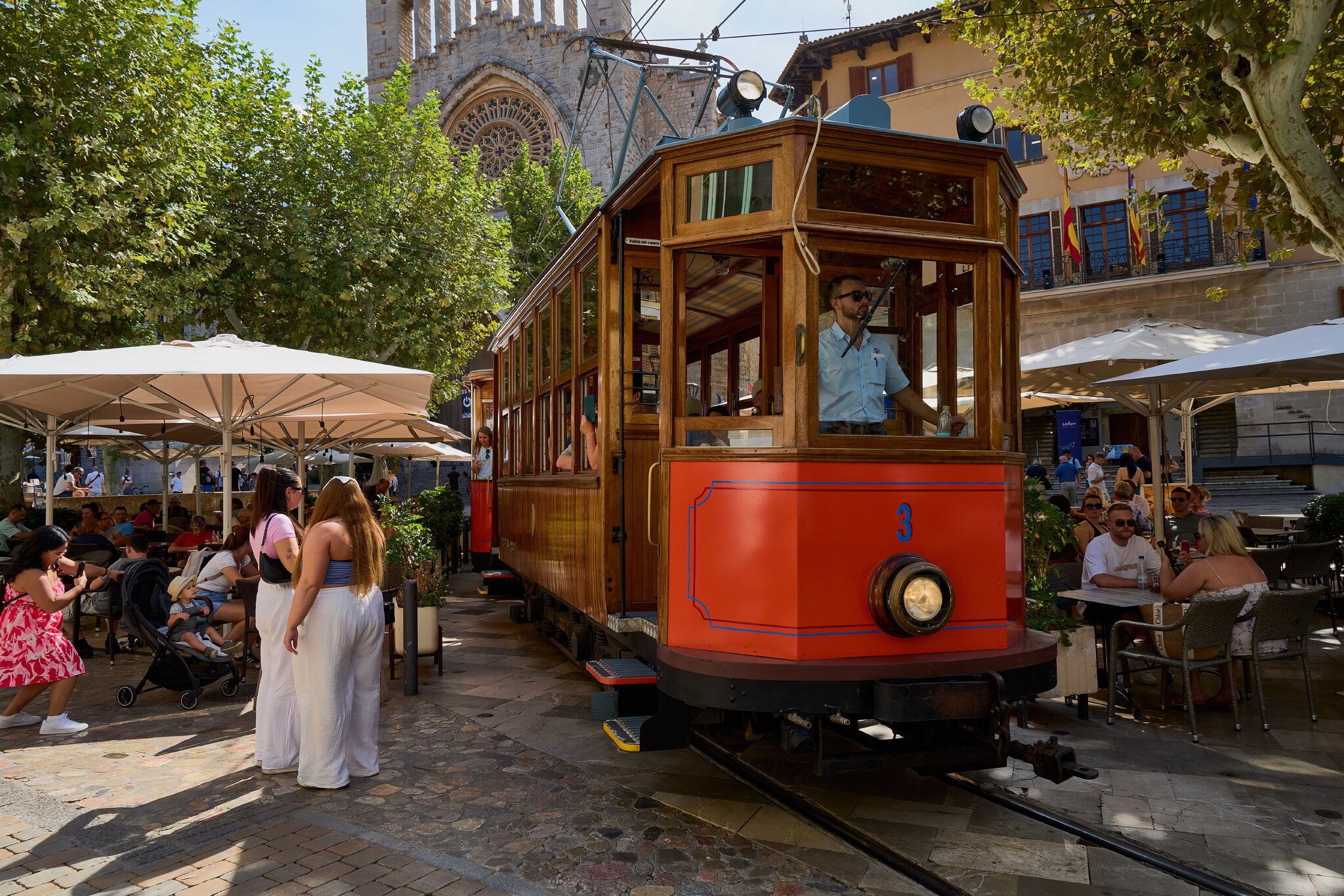 palma 2024 3.jpg