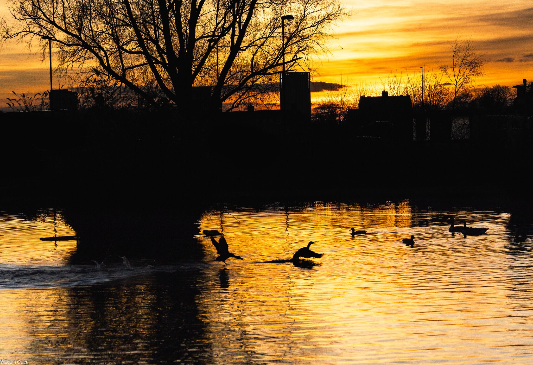 pond sunset-1.jpg
