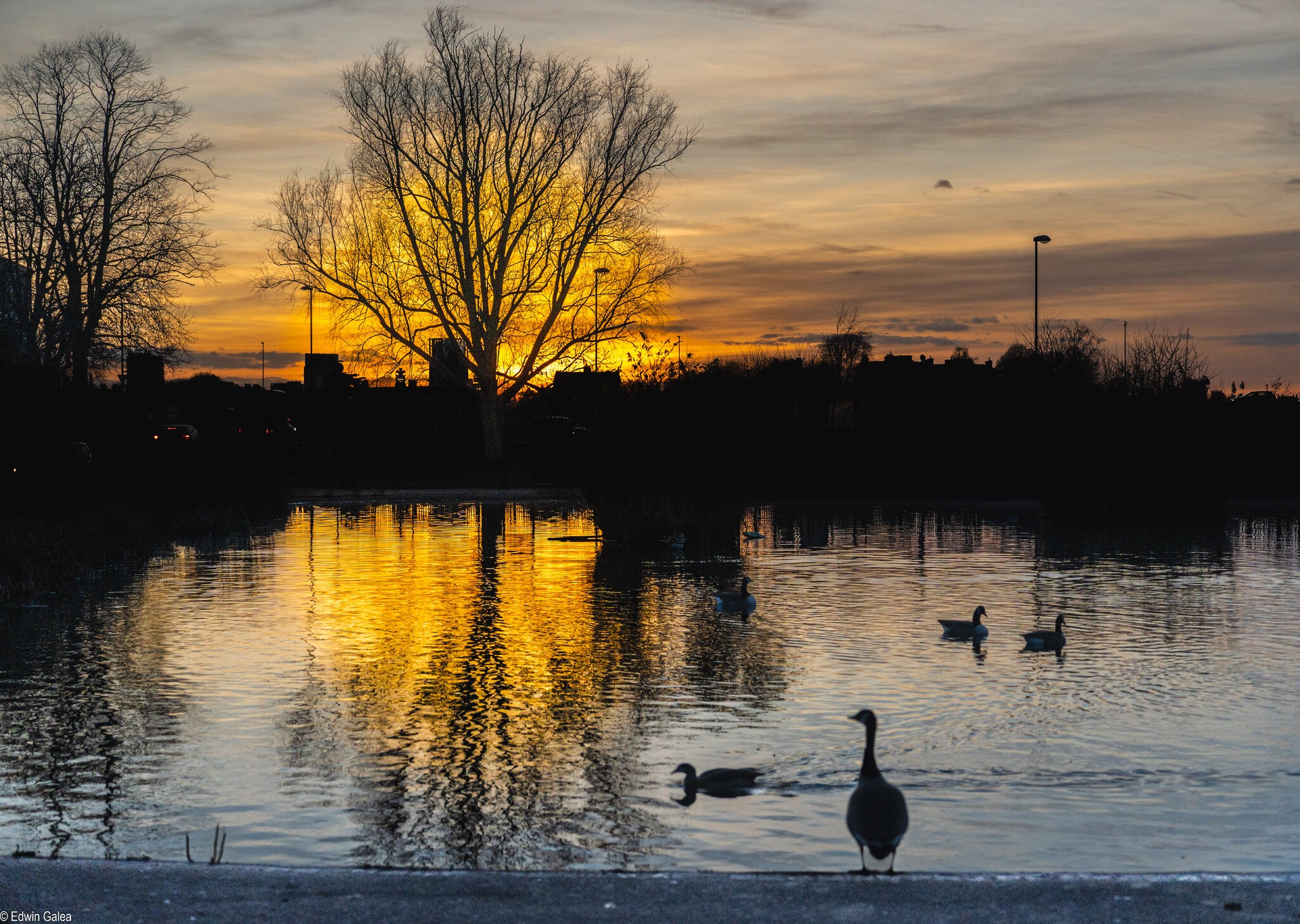 pond sunset-11.jpg