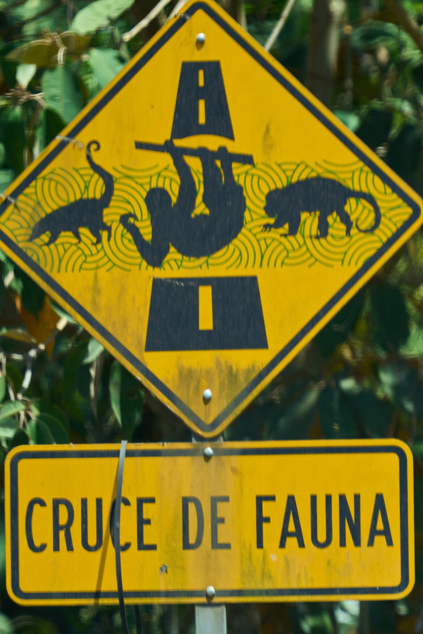 Road sign 3.jpg
