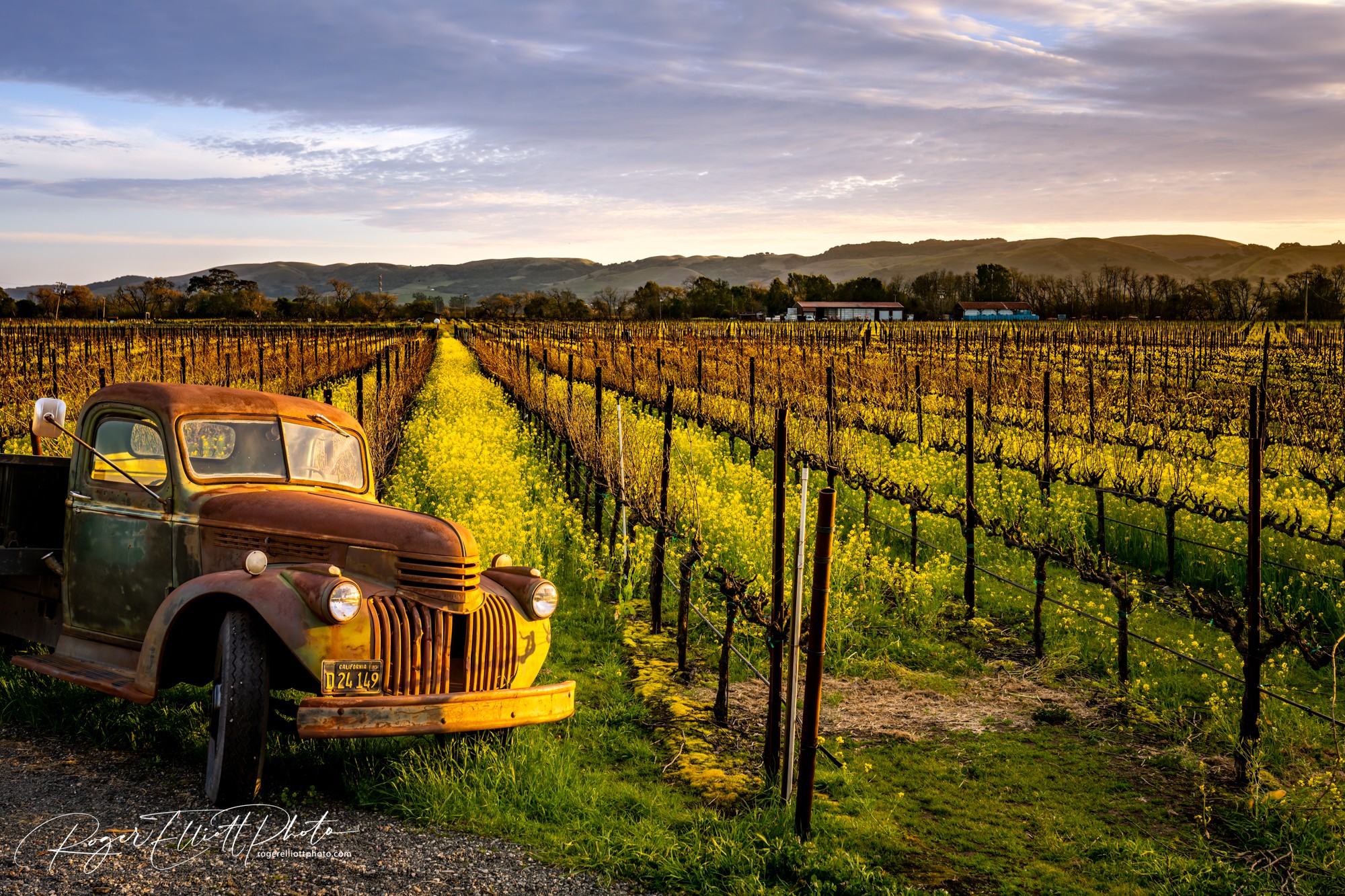 sangiacomo mustard truck-2.jpg